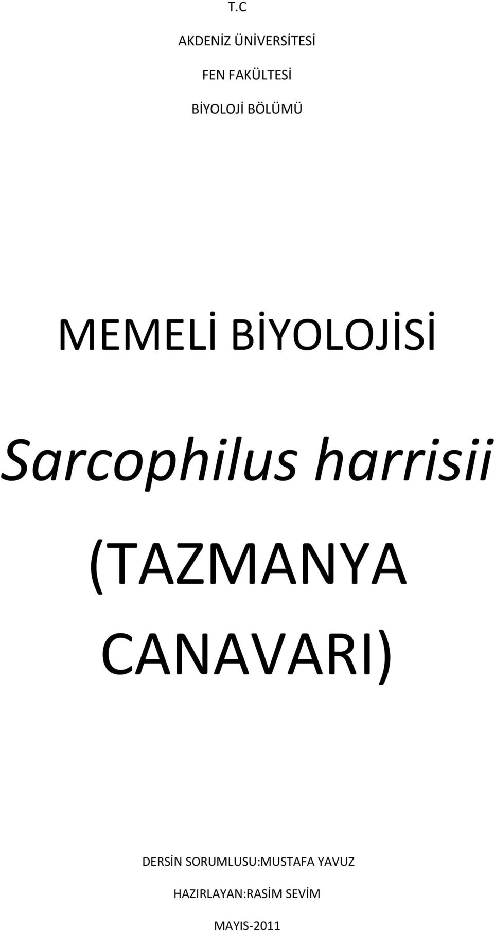 Sarcophilus harrisii (TAZMANYA CANAVARI)