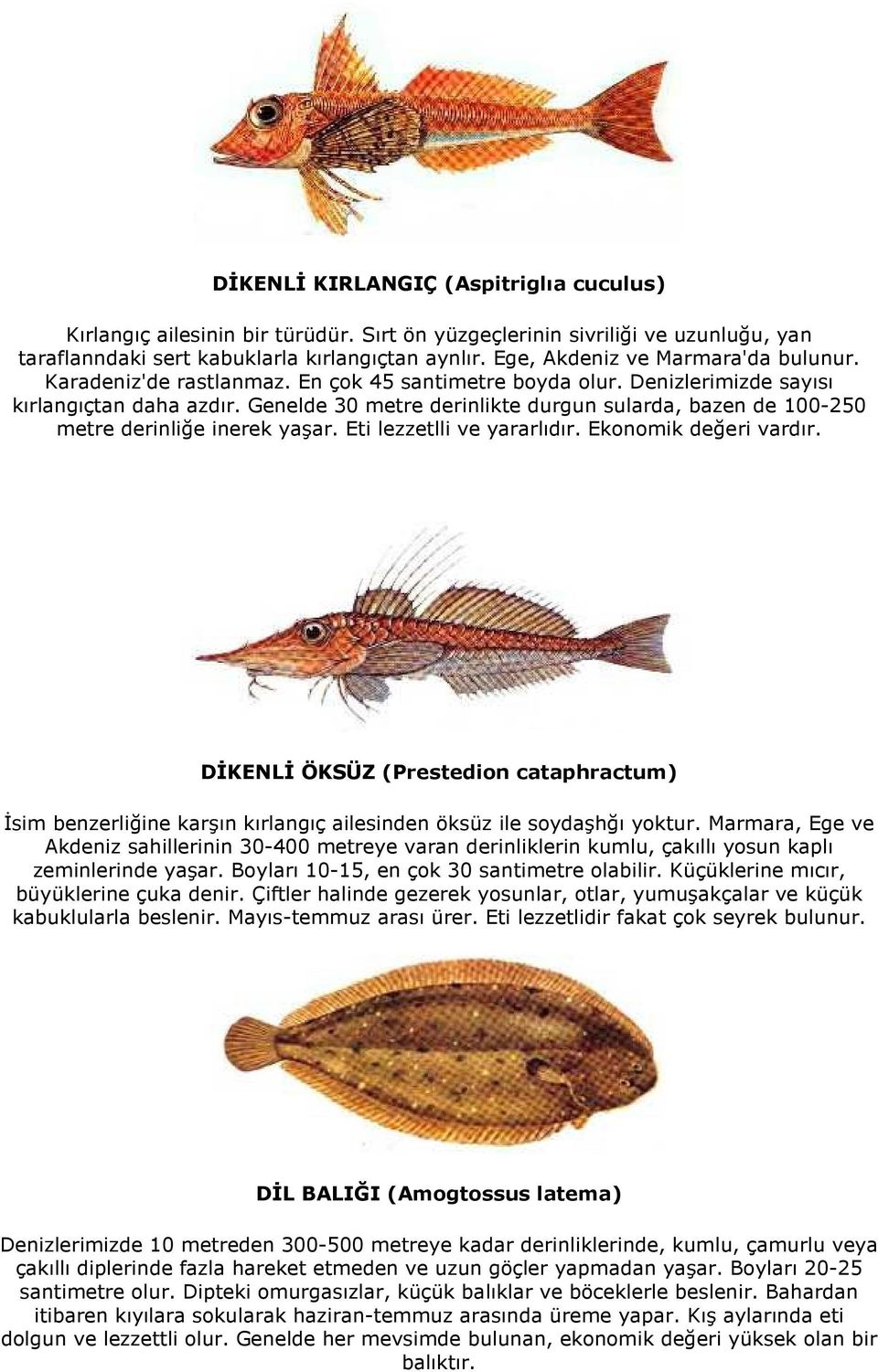 Genelde 30 metre derinlikte durgun sularda, bazen de 100-250 metre derinliğe inerek yaşar. Eti lezzetlli ve yararlıdır. Ekonomik değeri vardır.