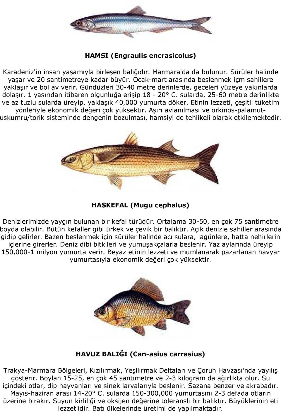 sularda, 25-60 metre derinlikte ve az tuzlu sularda üreyip, yaklaşık 40,000 yumurta döker. Etinin lezzeti, çeşitli tüketim yönleriyle ekonomik değeri çok yüksektir.