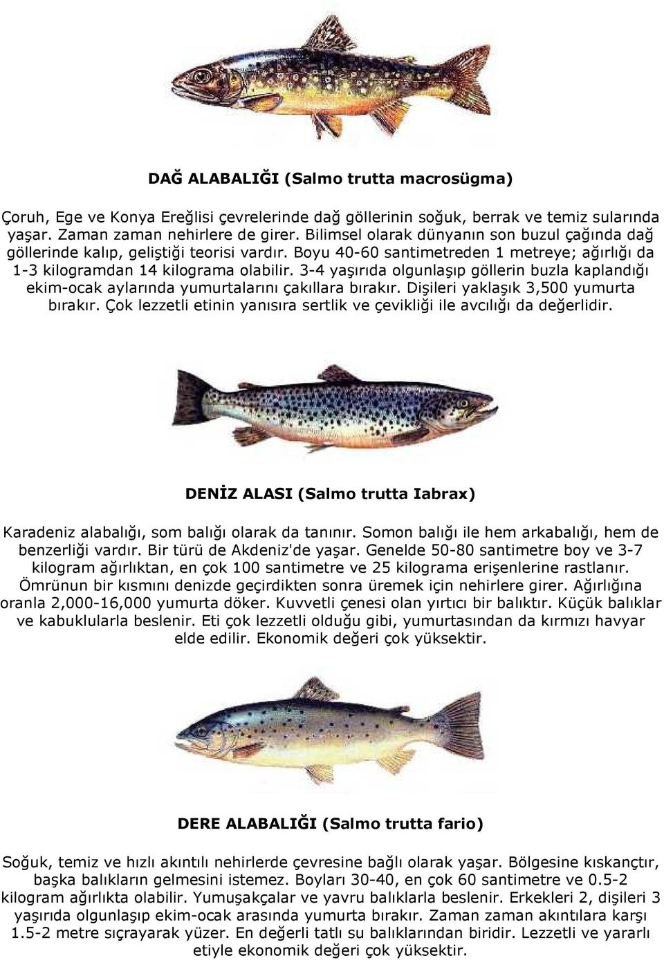 3-4 yaşırıda olgunlaşıp göllerin buzla kaplandığı ekim-ocak aylarında yumurtalarını çakıllara bırakır. Dişileri yaklaşık 3,500 yumurta bırakır.