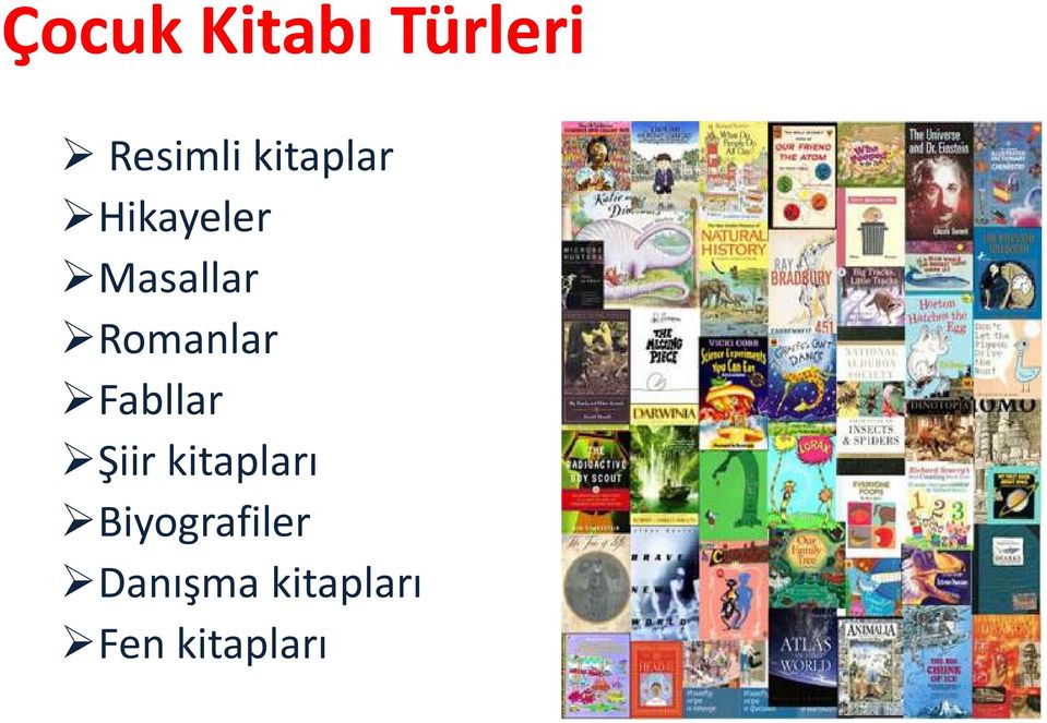 Romanlar Fabllar Şiir kitapları