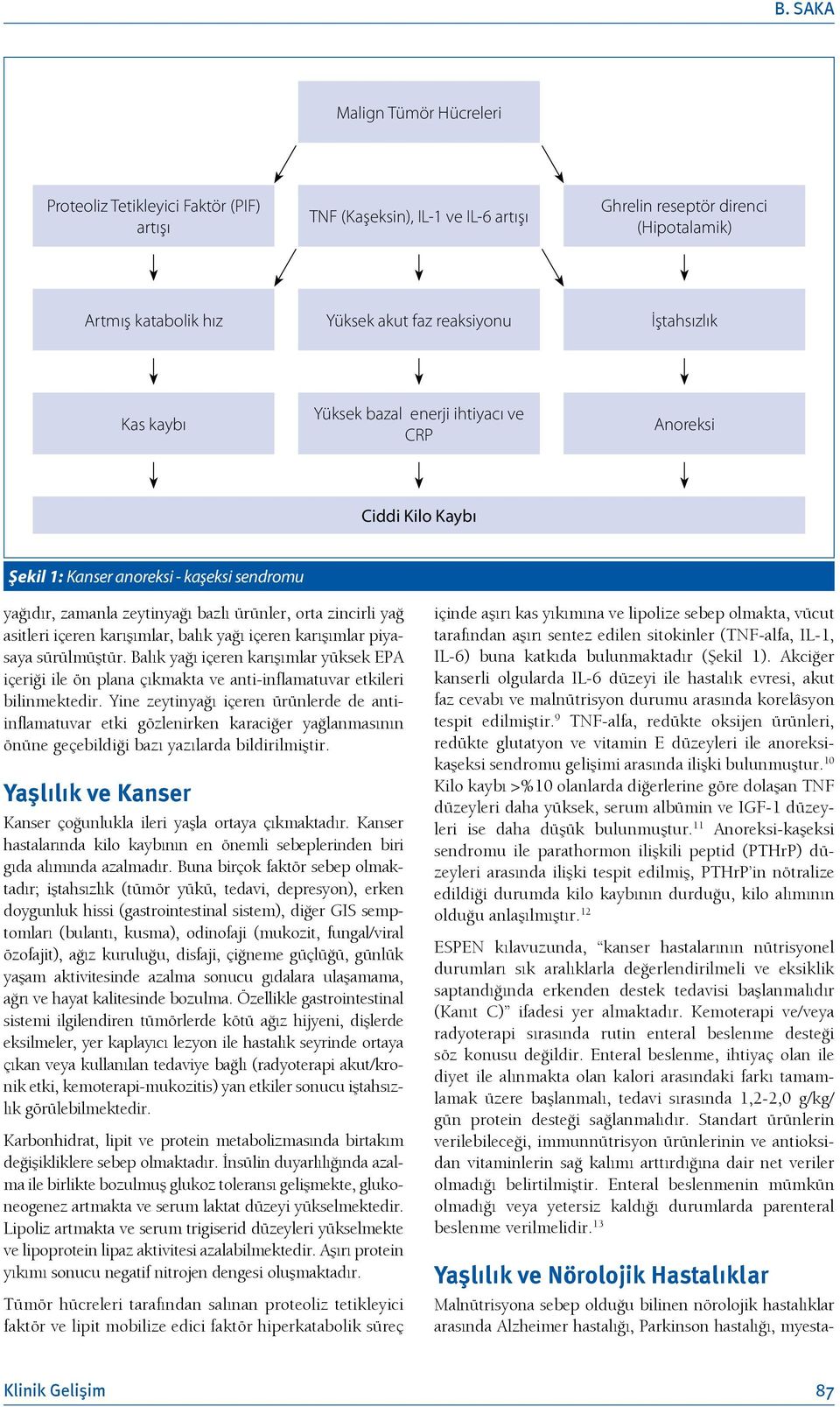 içeren karışımlar, balık yağı içeren karışımlar piyasaya sürülmüştür. Balık yağı içeren karışımlar yüksek EPA içeriği ile ön plana çıkmakta ve anti-inflamatuvar etkileri bilinmektedir.