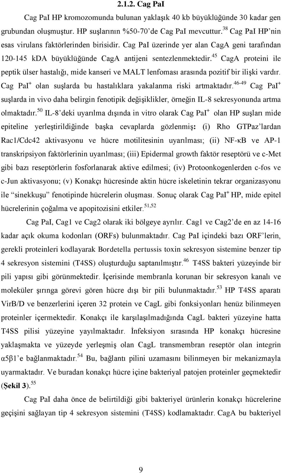 45 CagA proteini ile peptik ülser hastalığı, mide kanseri ve MALT lenfoması arasında pozitif bir ilişki vardır. Cag PaI + olan suşlarda bu hastalıklara yakalanma riski artmaktadır.