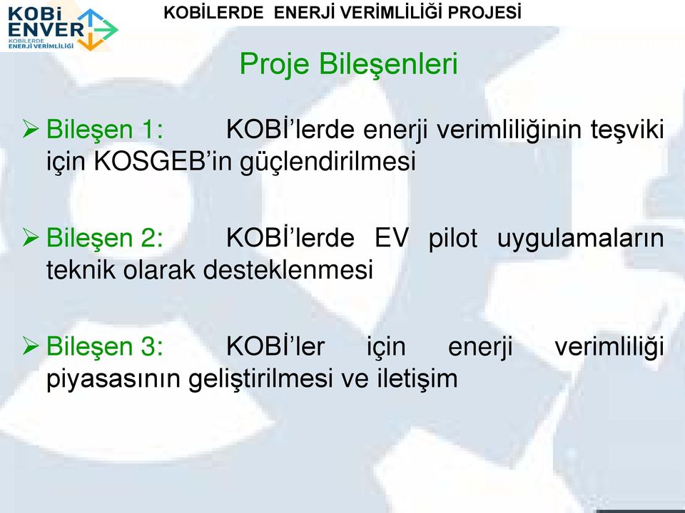 pilot uygulamaların teknik olarak desteklenmesi Bileşen 3: KOBİ