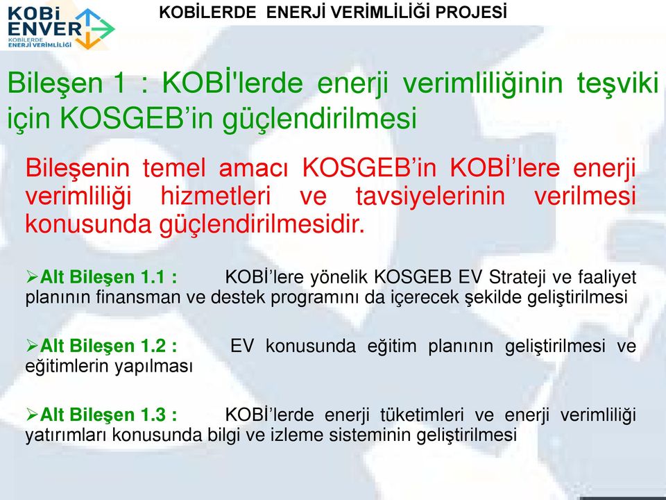 1 : KOBİ lere yönelik KOSGEB EV Strateji ve faaliyet planının finansman ve destek programını da içerecek şekilde geliştirilmesi Alt Bileşen 1.