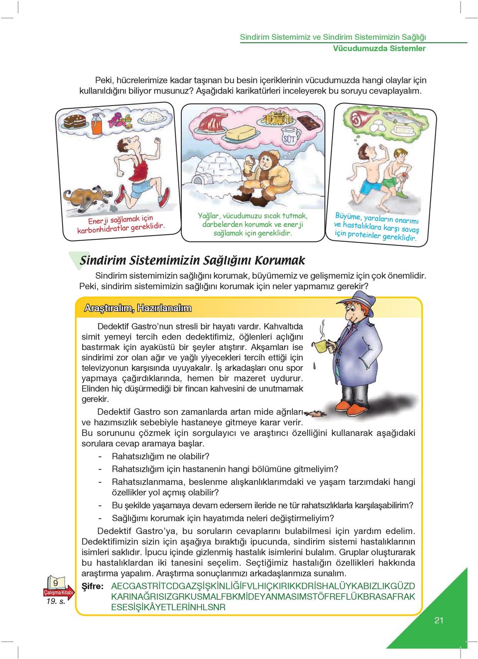 Büyüme, yaraların onarımı ve hastalıklara karşı savaş için proteinler gereklidir. 9 19. s. Sindirim Sistemimizin Sağlığını Korumak Sindirim sistemimizin sa l n korumak, büyümemiz ve geliflmemiz için çok önemlidir.