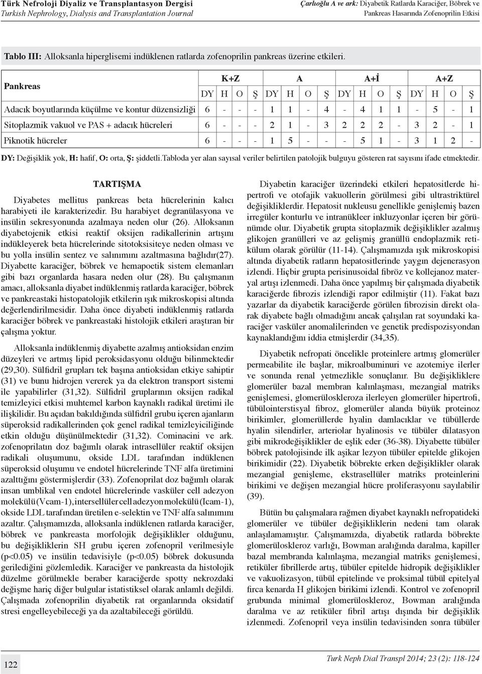 2 2-3 2-1 Piknotik hücreler 6 - - - 1 5 - - - 5 1-3 1 2 - DY: Değişiklik yok, H: hafif, O: orta, Ş: şiddetli.