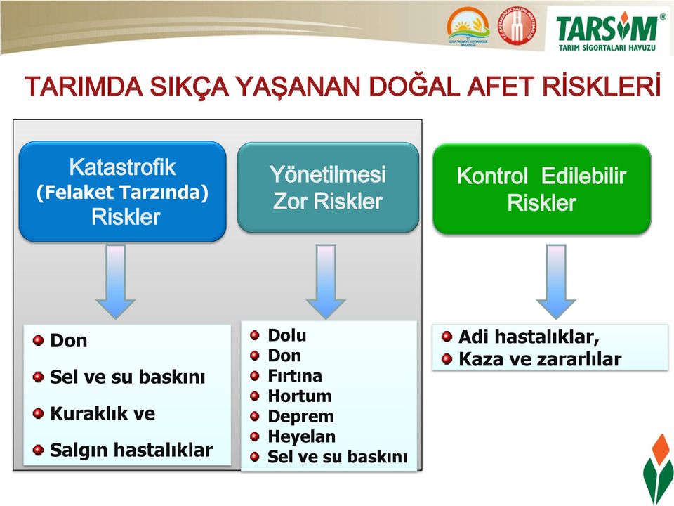 Don Sel ve su baskını Kuraklık ve Salgın hastalıklar Dolu Don Fırtına