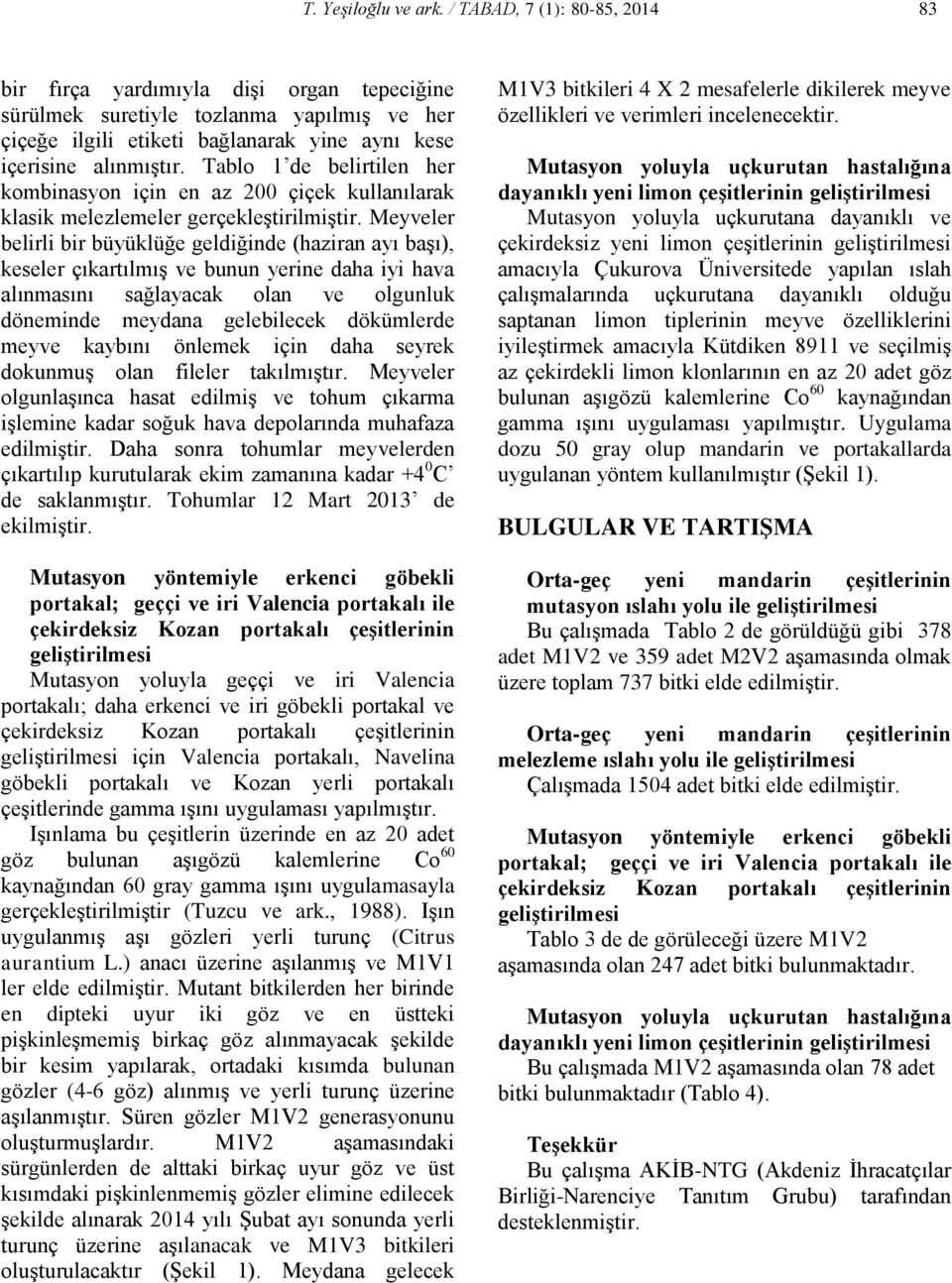 Tablo 1 de belirtilen her kombinasyon için en az 200 çiçek kullanılarak klasik melezlemeler gerçekleştirilmiştir.