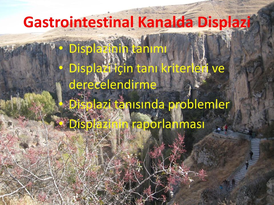 kriterleri ve derecelendirme Displazi