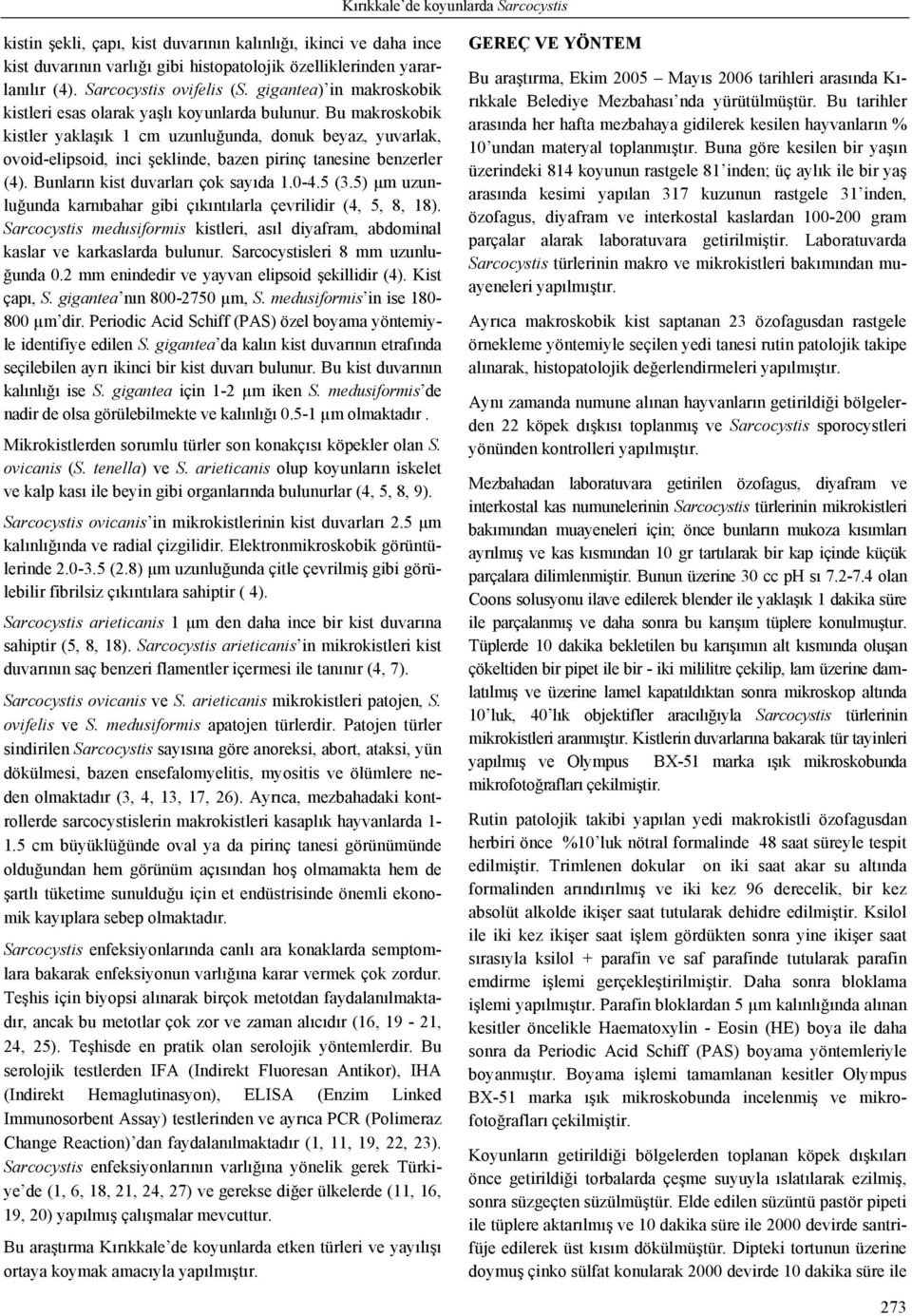 Bu makroskobik kistler yaklaşık 1 cm uzunluğunda, donuk beyaz, yuvarlak, ovoid-elipsoid, inci şeklinde, bazen pirinç tanesine benzerler (4). Bunların kist duvarları çok sayıda 1.0-4.5 (3.