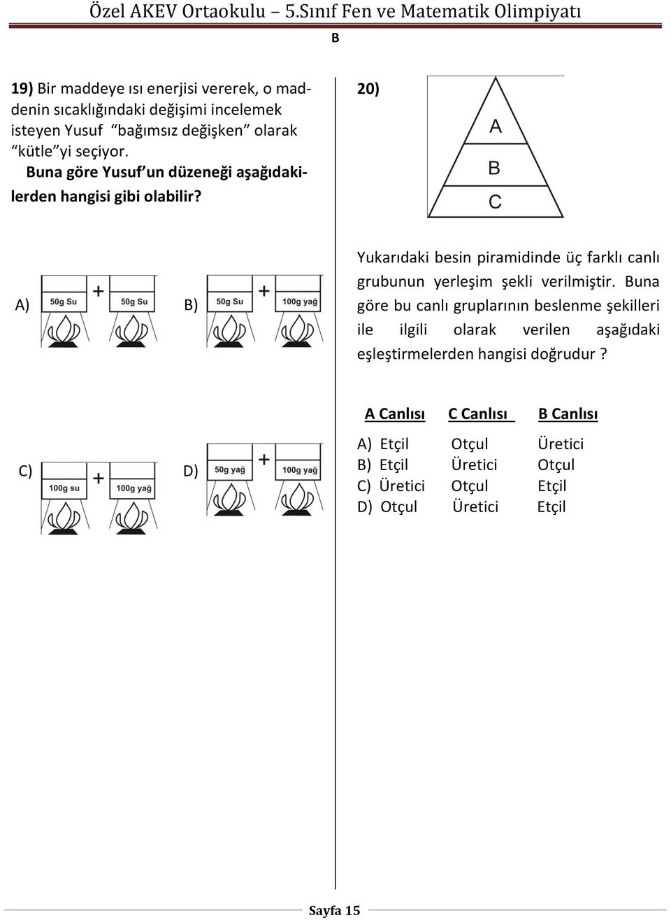 20) A) ) Yukarıdaki besin piramidinde üç farklı canlı grubunun yerleşim şekli verilmiştir.