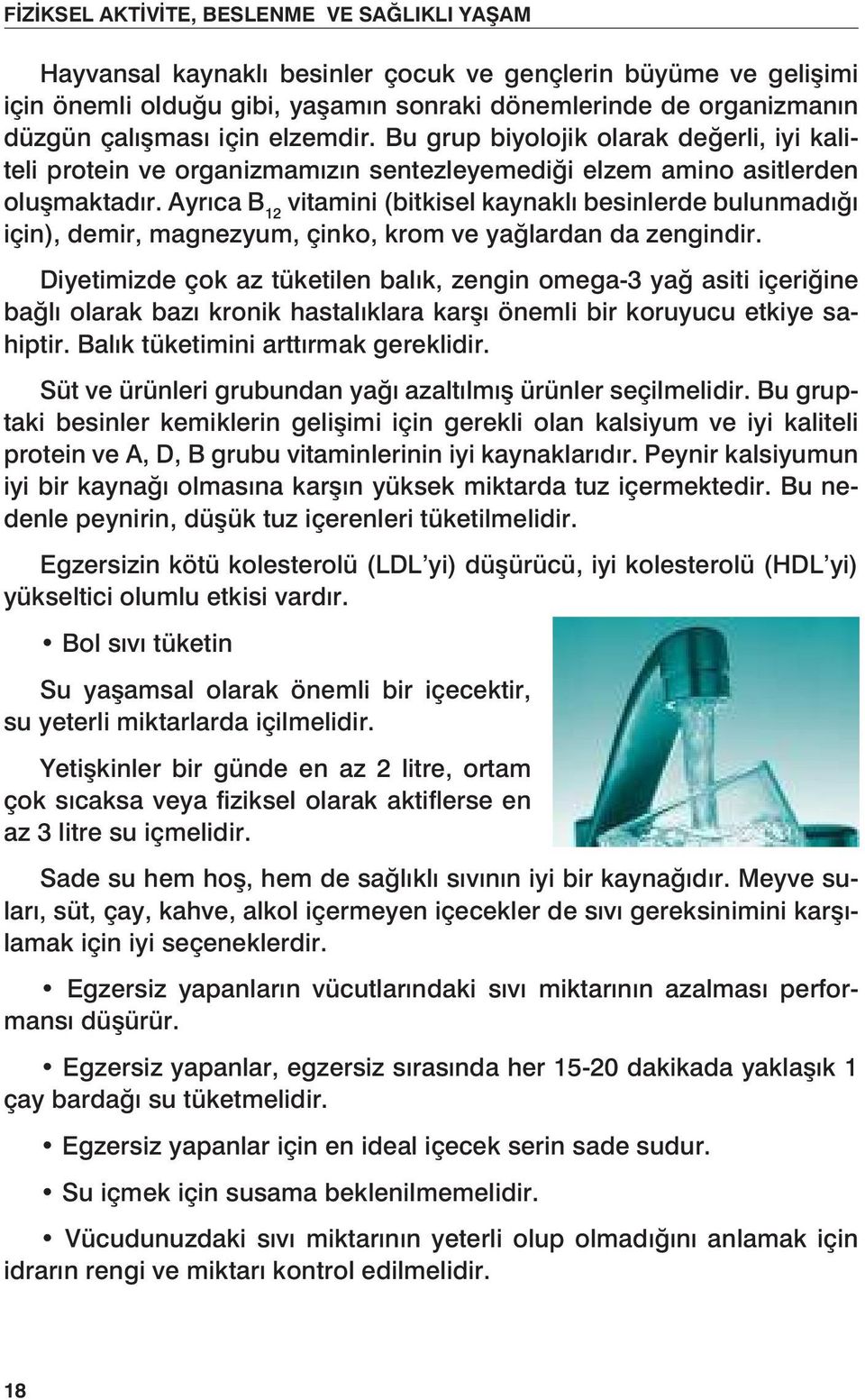 Ayrıca B 12 vitamini (bitkisel kaynaklı besinlerde bulunmadığı için), demir, magnezyum, çinko, krom ve yağlardan da zengindir.