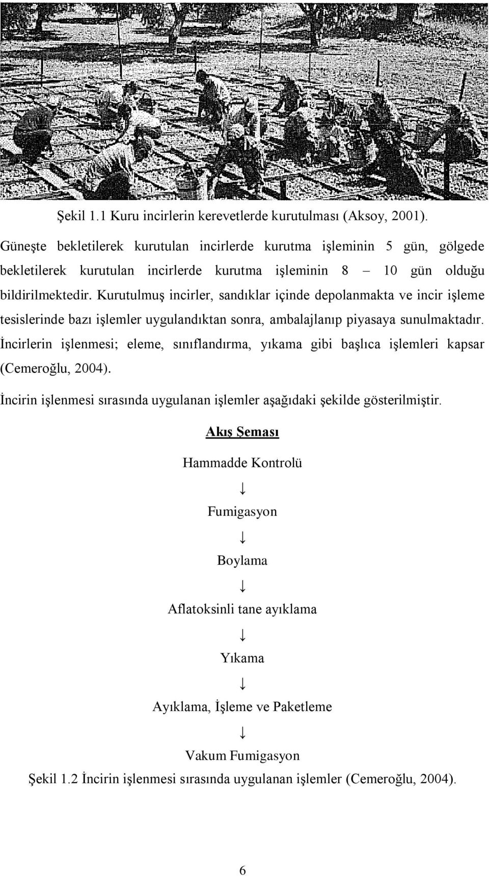 Kurutulmuş incirler, sandıklar içinde depolanmakta ve incir işleme tesislerinde bazı işlemler uygulandıktan sonra, ambalajlanıp piyasaya sunulmaktadır.