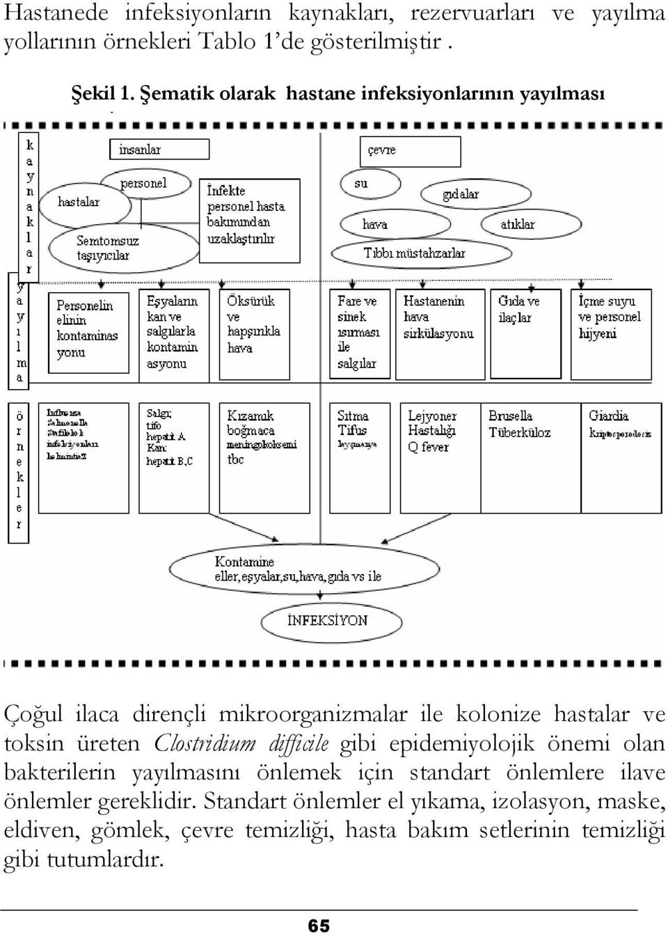 Clostridium difficile gibi epidemiyolojik önemi olan bakterilerin yayılmasını önlemek için standart önlemlere ilave önlemler