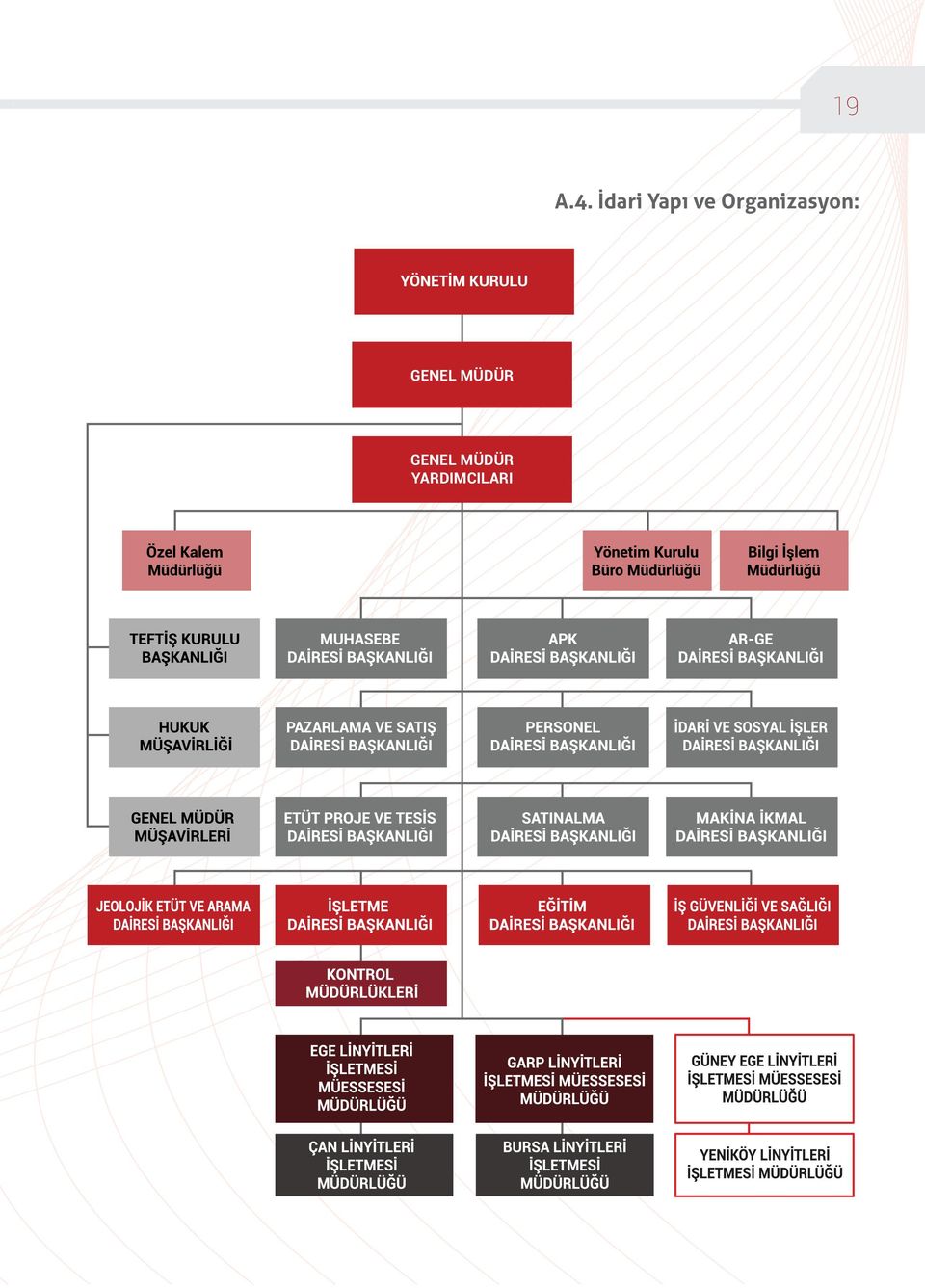 Organizasyon: