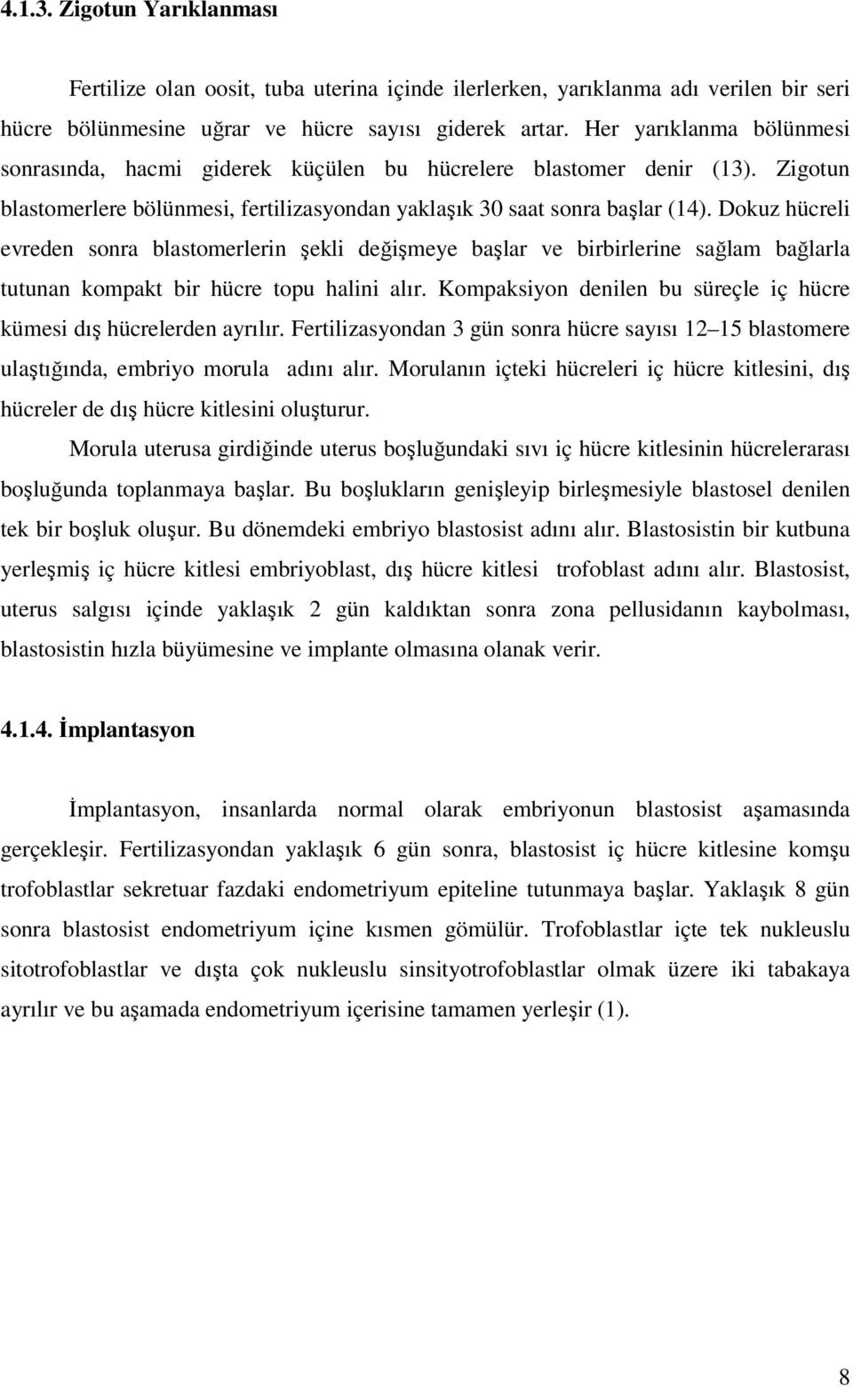 Dokuz hücreli evreden sonra blastomerlerin şekli değişmeye başlar ve birbirlerine sağlam bağlarla tutunan kompakt bir hücre topu halini alır.