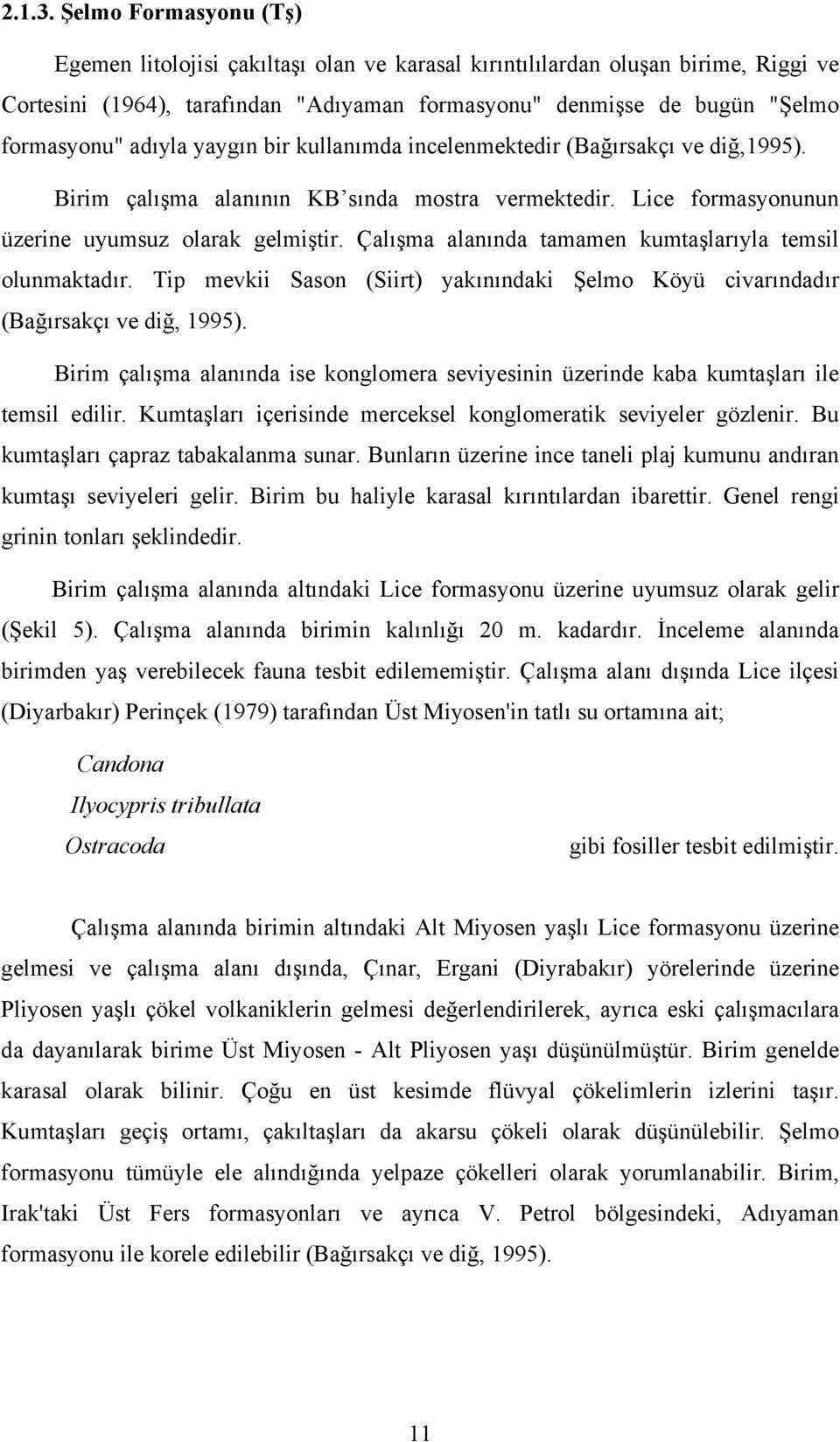 adıyla yaygın bir kullanımda incelenmektedir (Bağırsakçı ve diğ,1995). Birim çalışma alanının KB sında mostra vermektedir. Lice formasyonunun üzerine uyumsuz olarak gelmiştir.