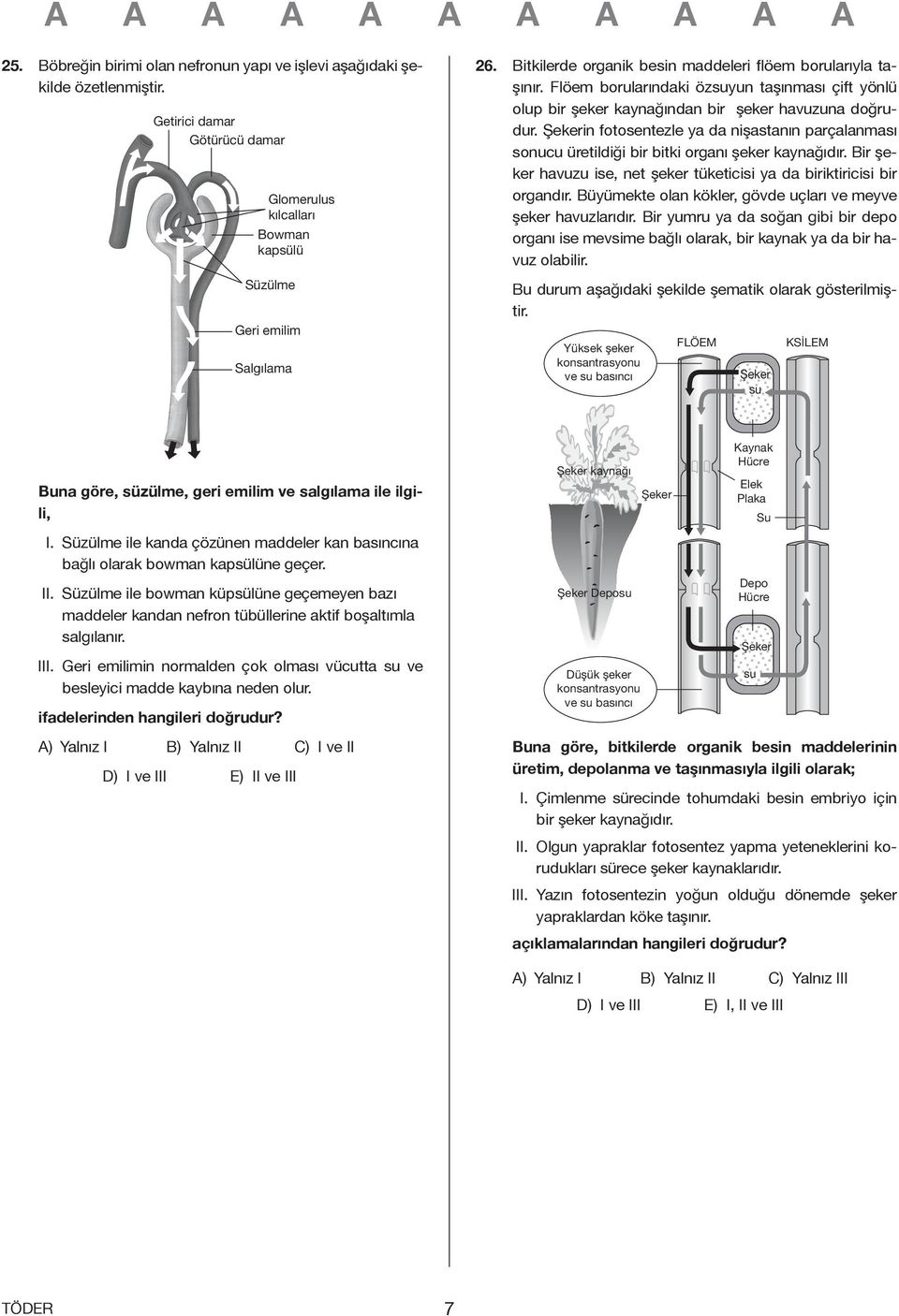 Şekerin fotosentezle ya da nişastanın parçalanması sonucu üretildiği bir bitki organı şeker kaynağıdır. Bir şeker havuzu ise, net şeker tüketicisi ya da biriktiricisi bir organdır.