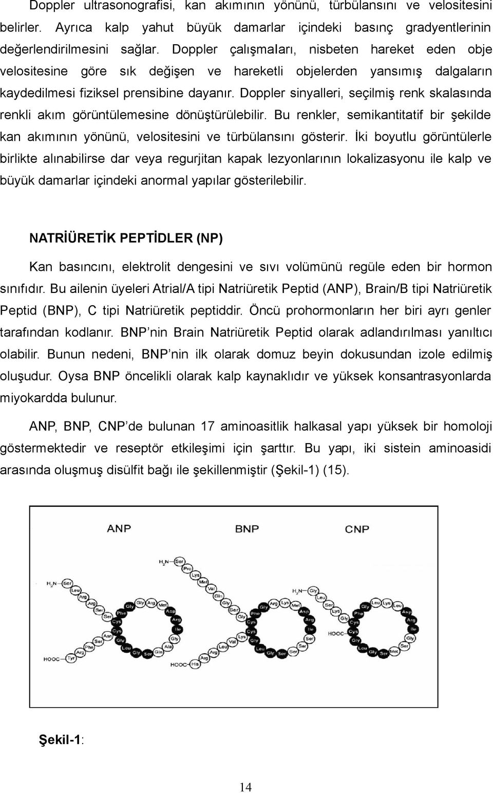 Doppler sinyalleri, seçilmiş renk skalasında renkli akım görüntülemesine dönüştürülebilir. Bu renkler, semikantitatif bir şekilde kan akımının yönünü, velositesini ve türbülansını gösterir.