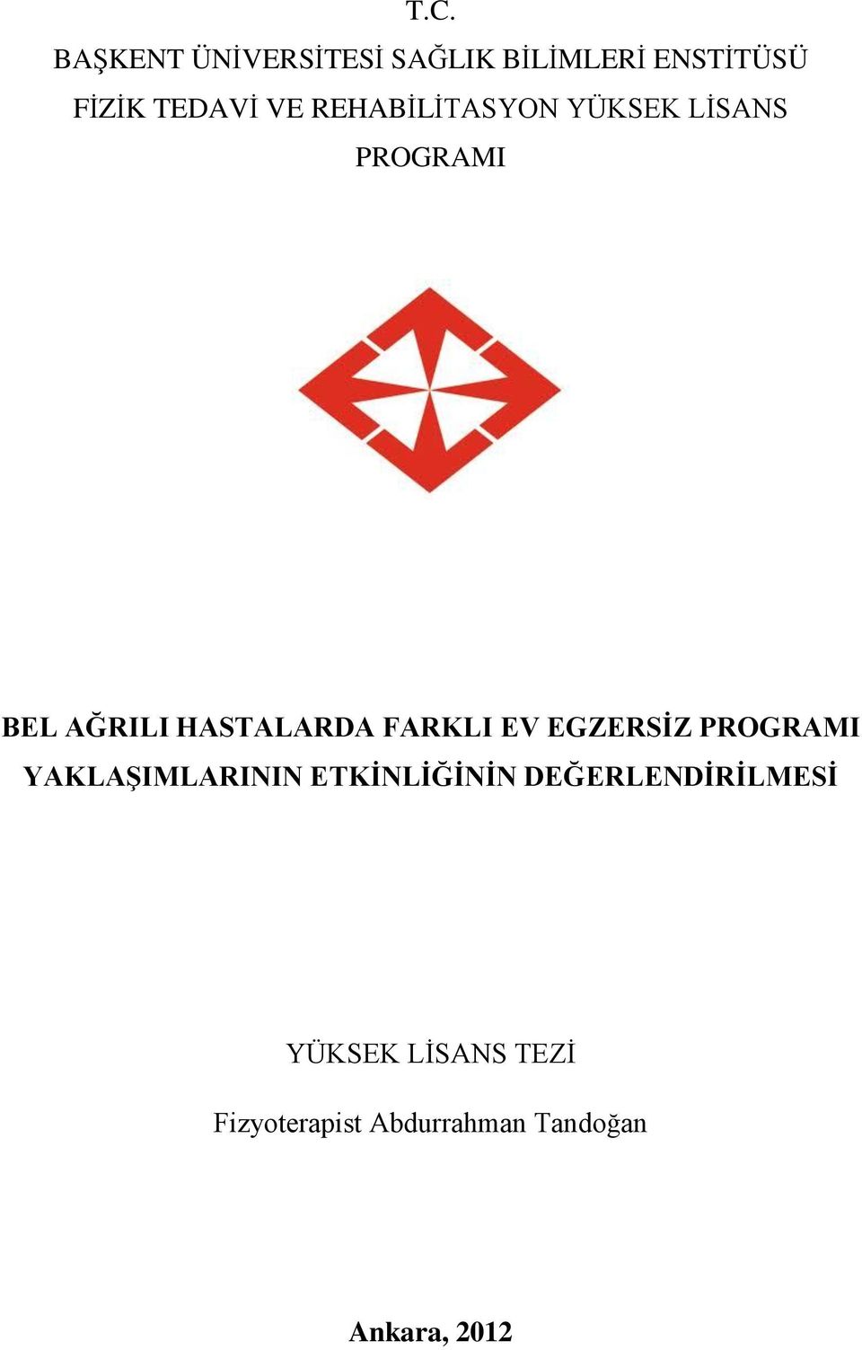 FARKLI EV EGZERSİZ PROGRAMI YAKLAŞIMLARININ ETKİNLİĞİNİN