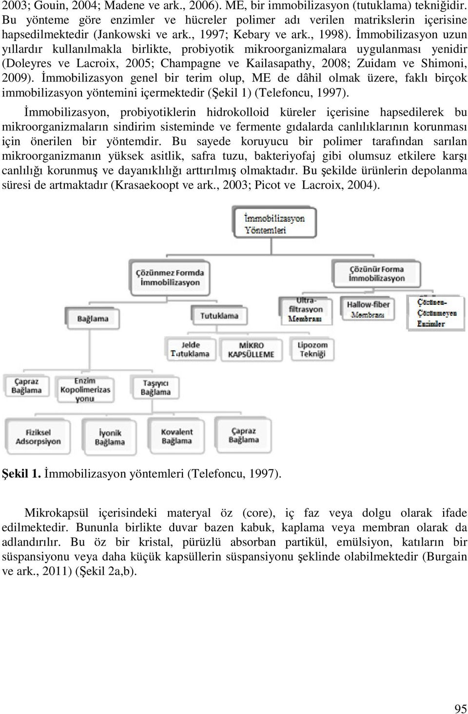 İmmobilizasyon uzun yıllardır kullanılmakla birlikte, probiyotik mikroorganizmalara uygulanması yenidir (Doleyres ve Lacroix, 2005; Champagne ve Kailasapathy, 2008; Zuidam ve Shimoni, 2009).