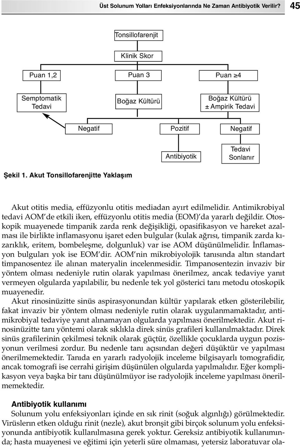 Akut Tonsillofarenjitte Yaklaşım Akut otitis media, effüzyonlu otitis mediadan ayırt edilmelidir. Antimikrobiyal tedavi AOM de etkili iken, effüzyonlu otitis media (EOM) da yararlı değildir.