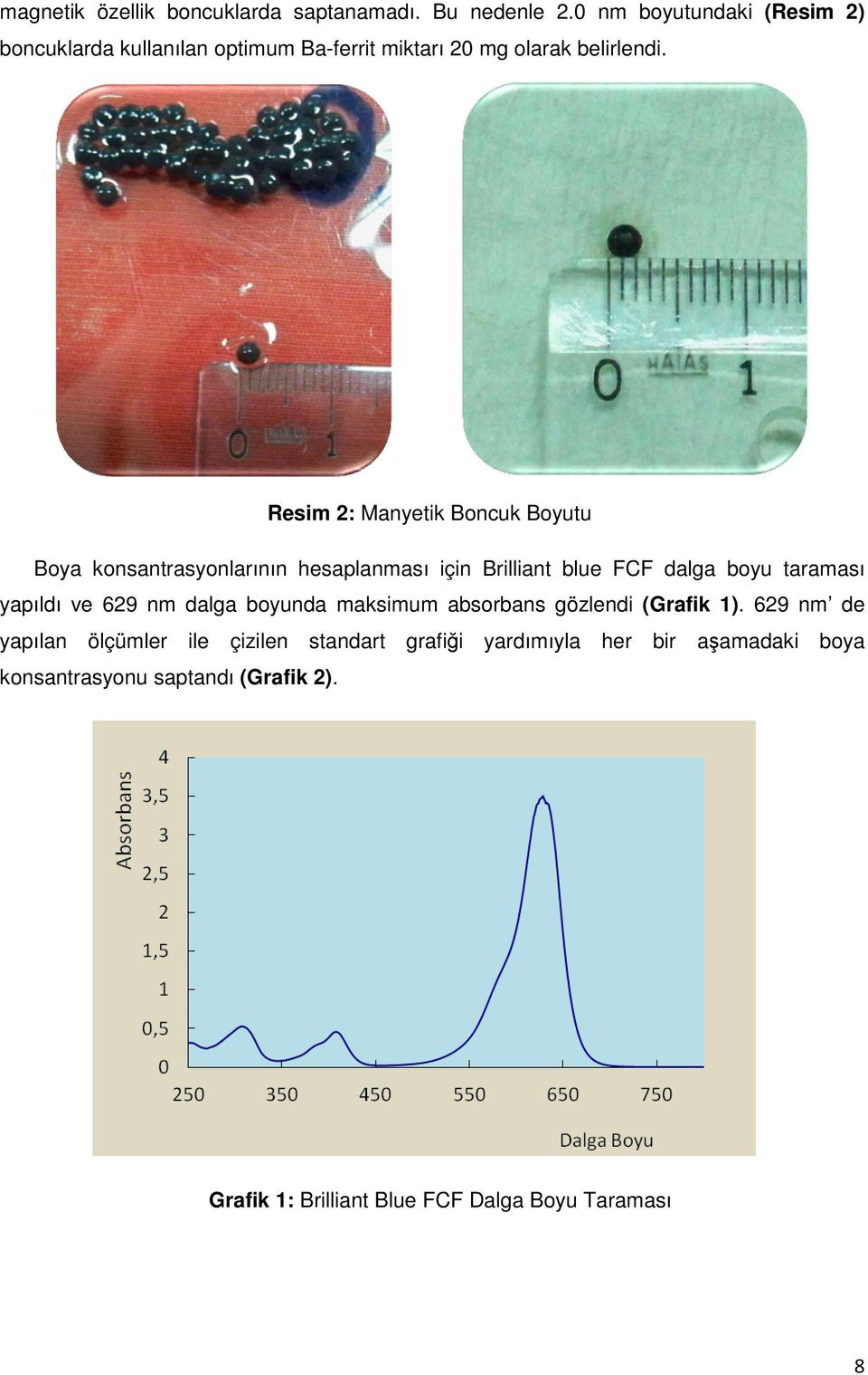 Resim 2: Manyetik Boncuk Boyutu Boya konsantrasyonlarının hesaplanması için Brilliant blue FCF dalga boyu taraması yapıldı ve