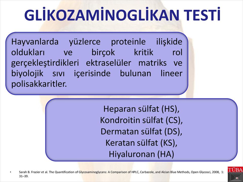 Heparan sülfat (HS), Kondroitin sülfat (CS), Dermatan sülfat (DS), Keratan sülfat (KS), Hiyaluronan (HA) Sarah B.