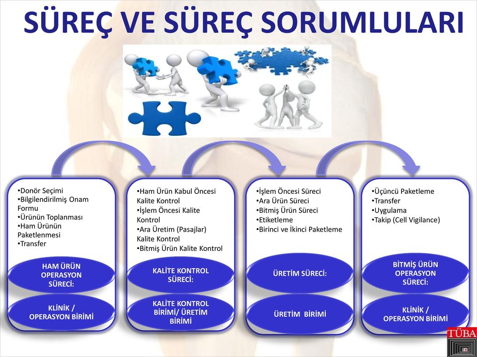 Süreci Etiketleme Birinci ve İkinci Paketleme Üçüncü Paketleme Transfer Uygulama Takip (Cell Vigilance) HAM ÜRÜN OPERASYON SÜRECİ: KALİTE KONTROL