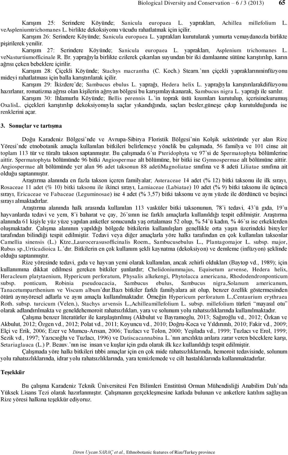 Karışım 27: Serindere Köyünde; Sanicula europaea L. yaprakları, Asplenium trichomanes L. venasturtiumofficinale R. Br.