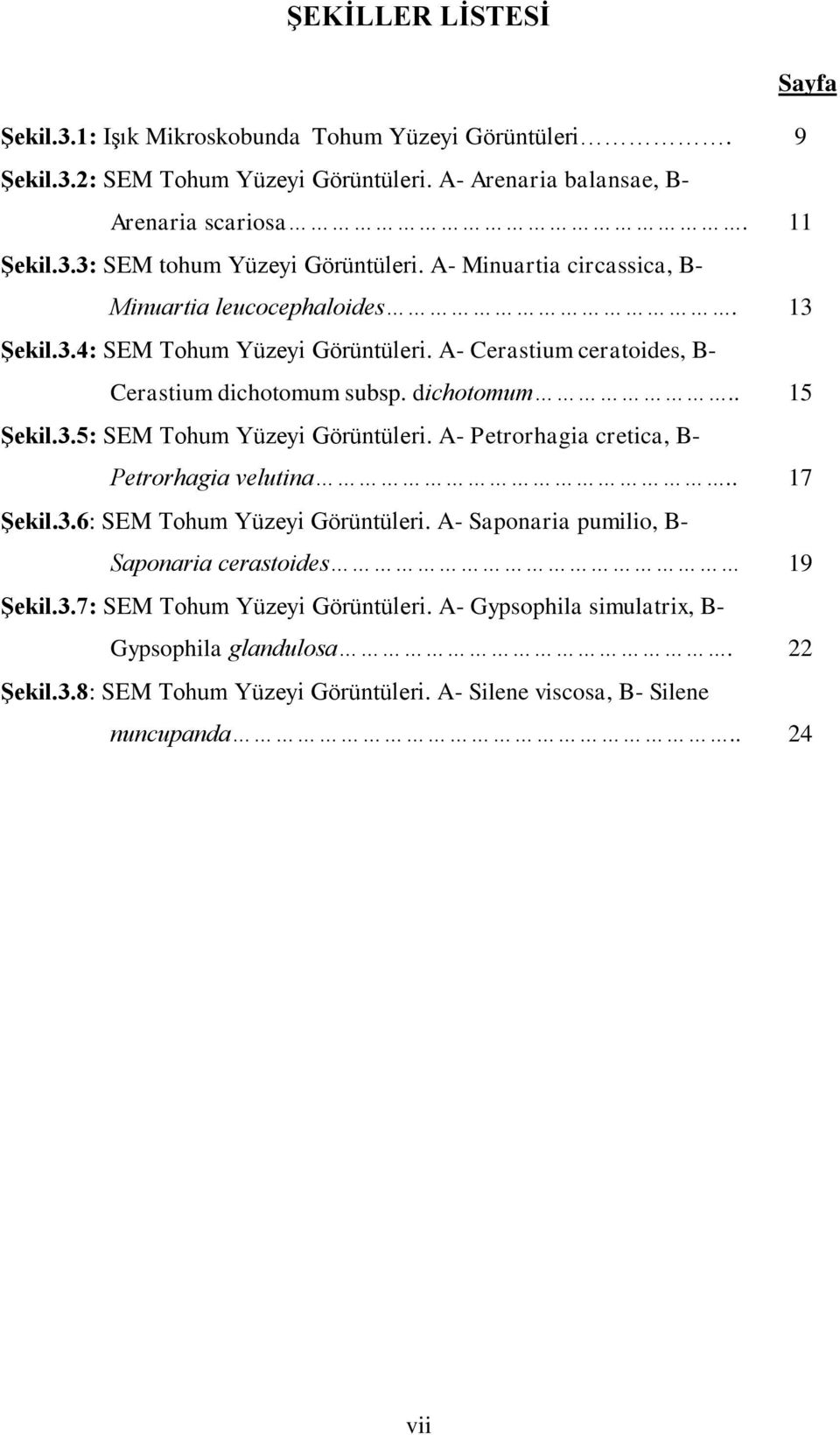 A- Petrorhagia cretica, B- Petrorhagia velutina.. 17 Şekil.3.6: SEM Tohum Yüzeyi Görüntüleri. A- Saponaria pumilio, B- Saponaria cerastoides 19 Şekil.3.7: SEM Tohum Yüzeyi Görüntüleri.