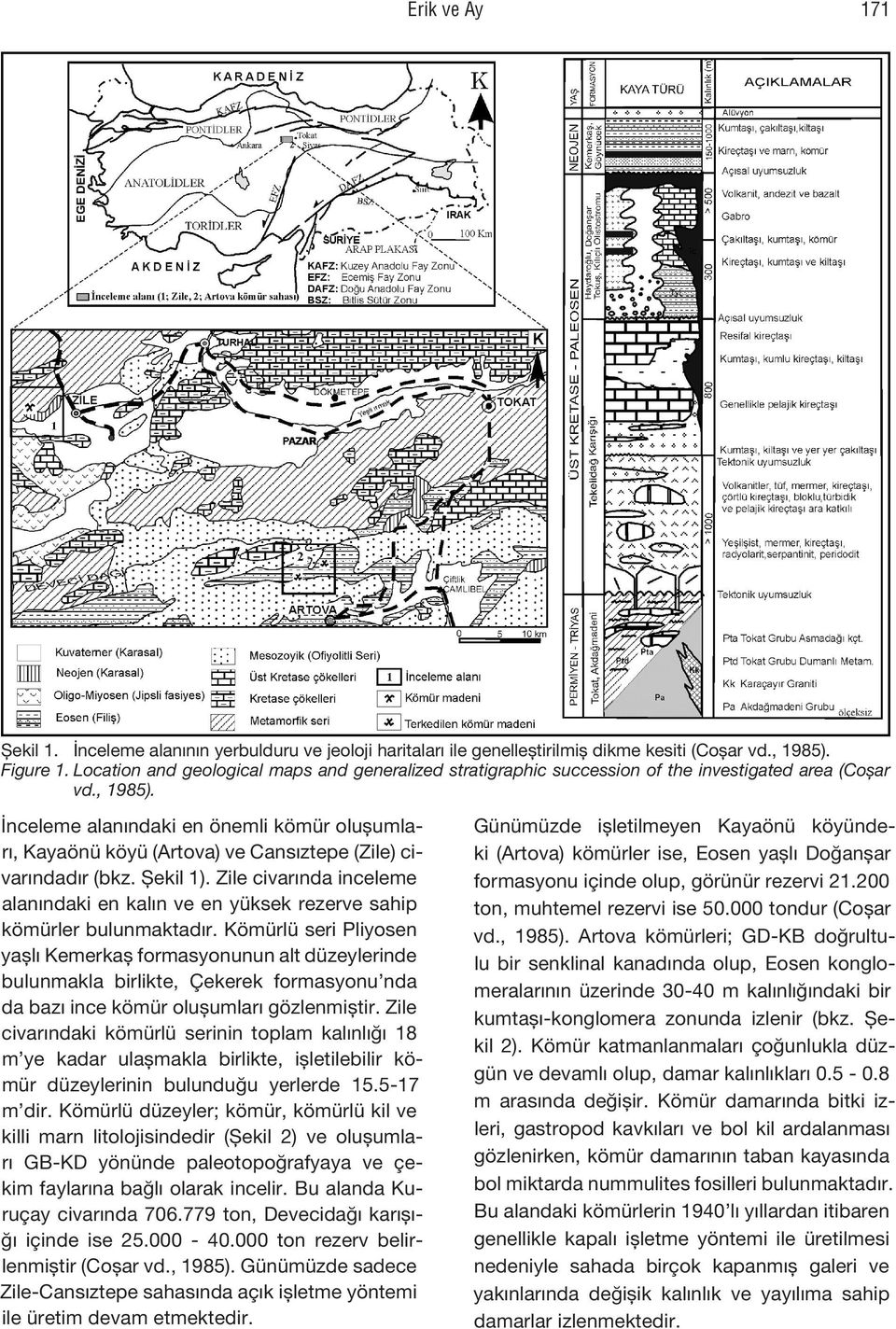 İnceleme alanındaki en önemli kömür oluşumları, Kayaönü köyü (Artova) ve Cansıztepe (Zile) civarındadır (bkz. Şekil 1).