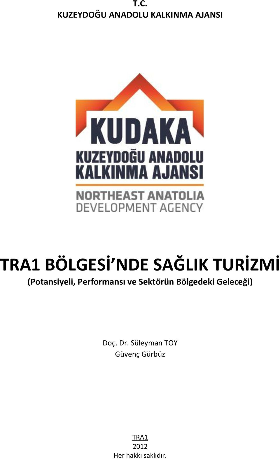 Performansı ve Sektörün Bölgedeki Geleceği) Doç.