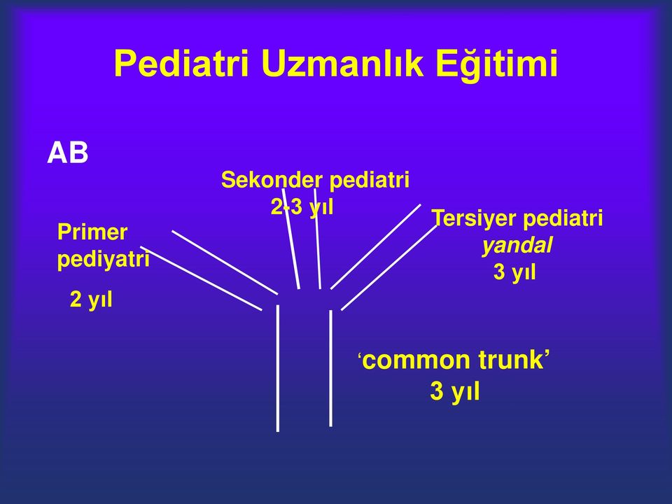 pediatri 2-3 yıl Tersiyer