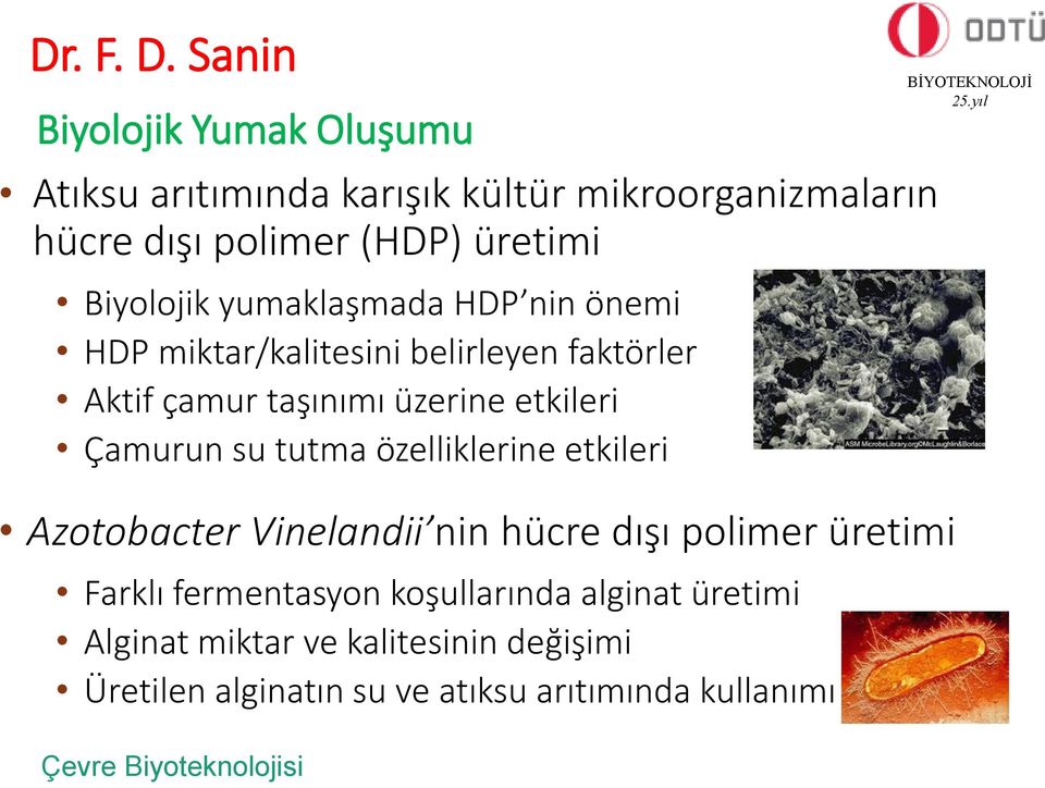 Biyolojik yumaklaşmada HDP nin önemi HDP miktar/kalitesini belirleyen faktörler Aktif çamur taşınımı üzerine etkileri