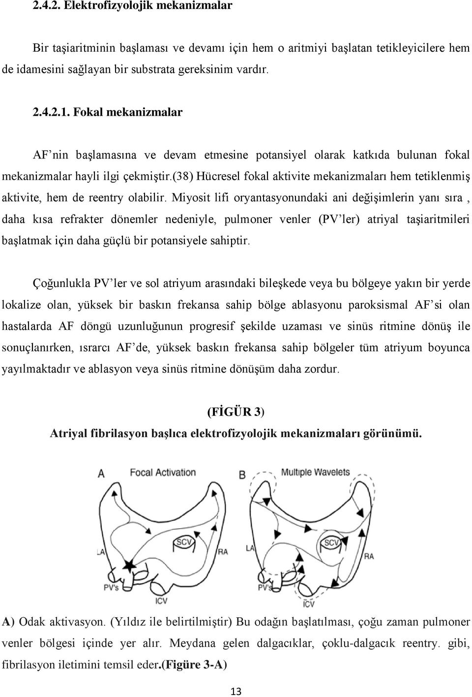 (38) Hücresel fokal aktivite mekanizmaları hem tetiklenmiş aktivite, hem de reentry olabilir.