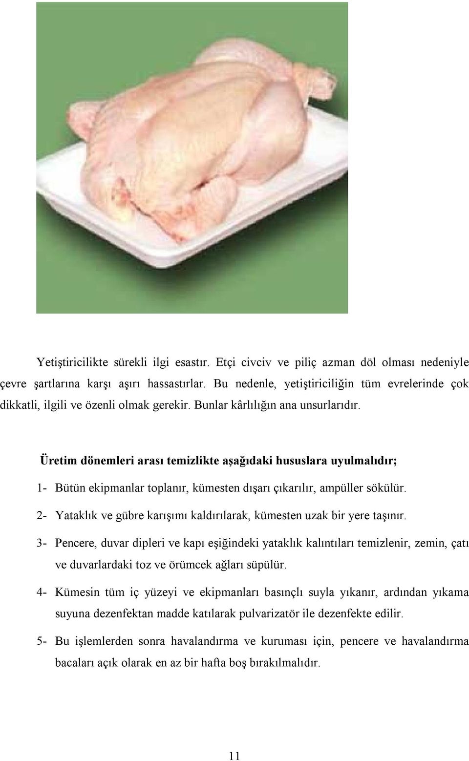 Üretim dönemleri arası temizlikte aşağıdaki hususlara uyulmalıdır; 1- Bütün ekipmanlar toplanır, kümesten dışarı çıkarılır, ampüller sökülür.