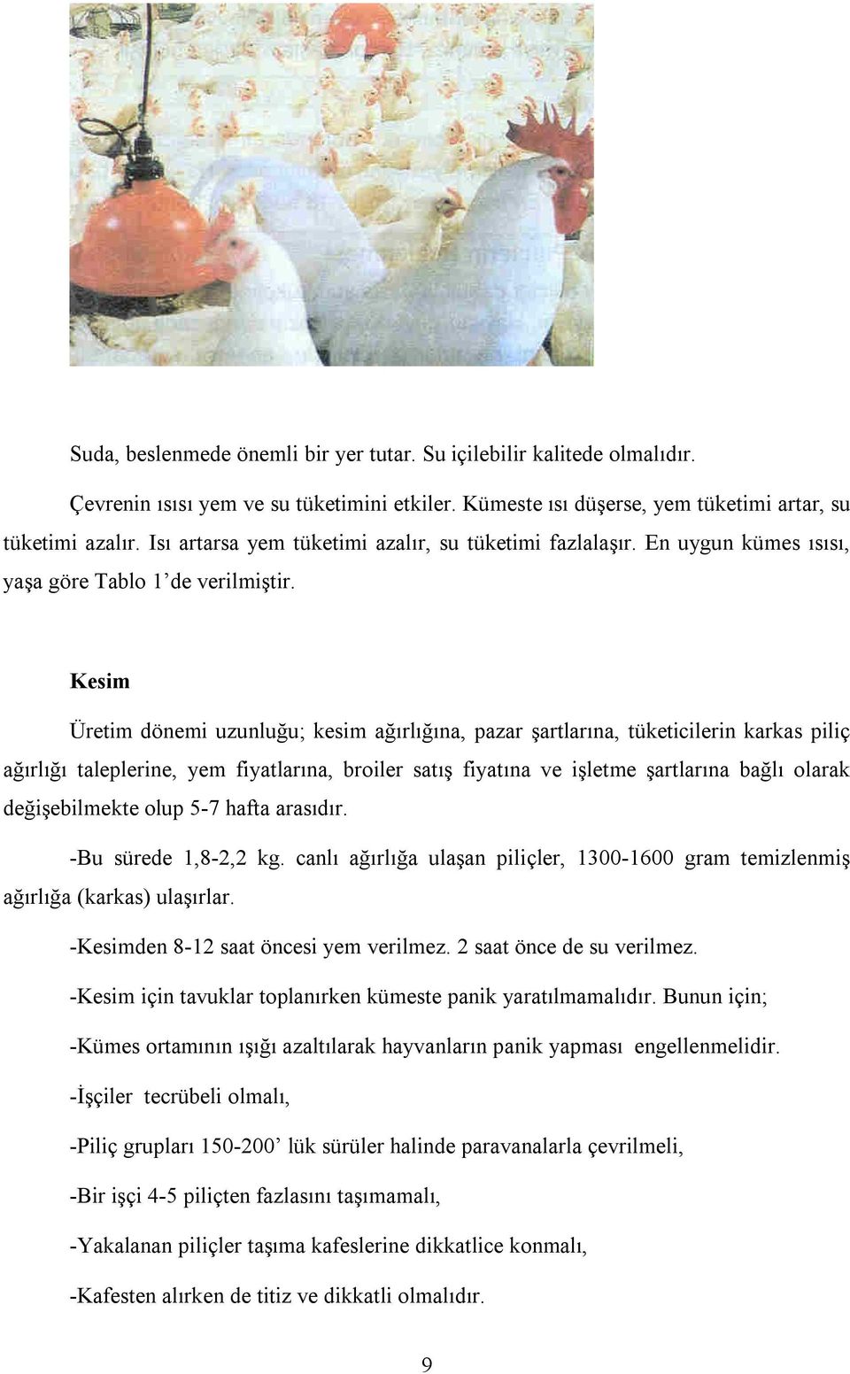 Kesim Üretim dönemi uzunluğu; kesim ağırlığına, pazar şartlarına, tüketicilerin karkas piliç ağırlığı taleplerine, yem fiyatlarına, broiler satış fiyatına ve işletme şartlarına bağlı olarak