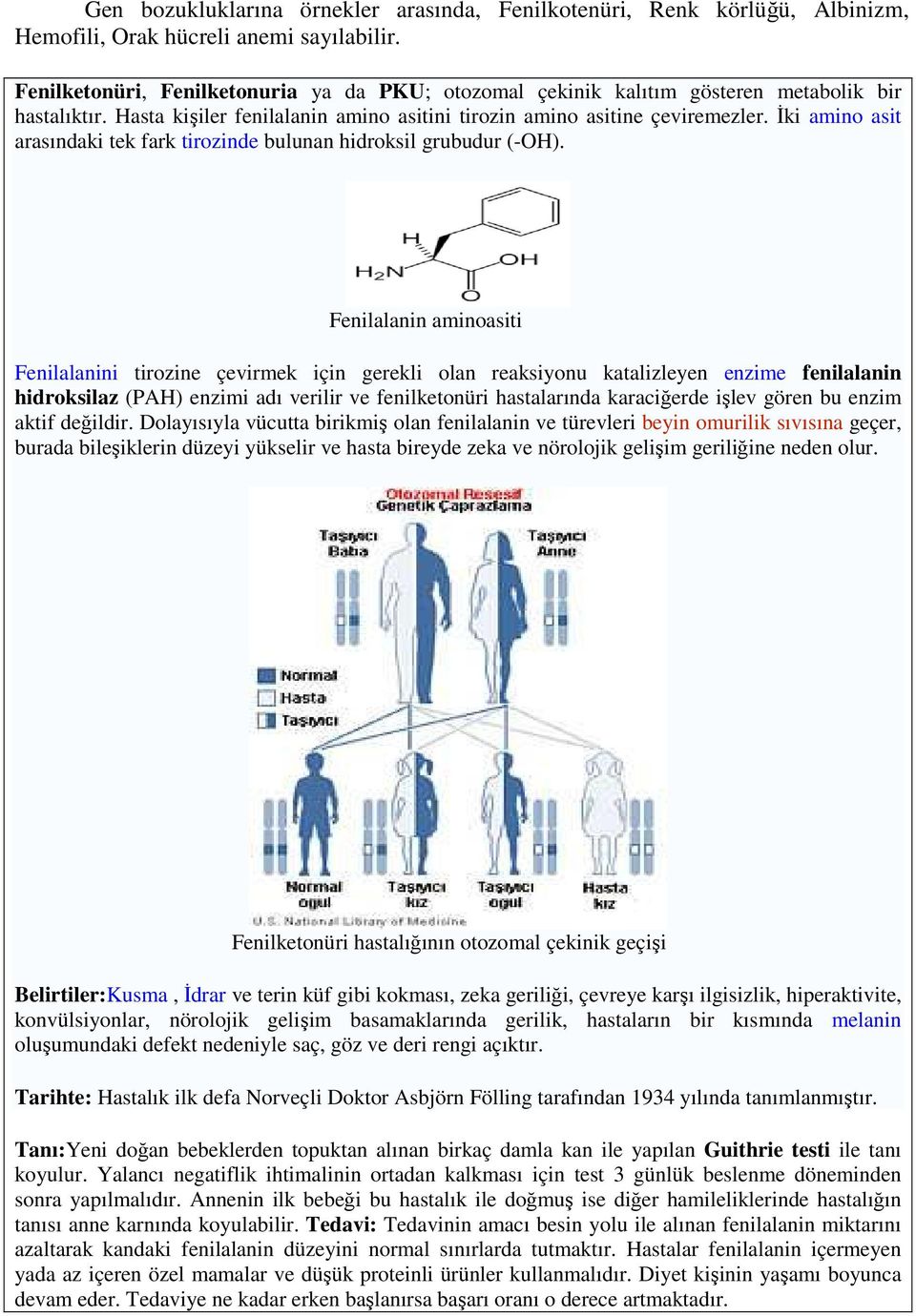 Đki amino asit arasındaki tek fark tirozinde bulunan hidroksil grubudur (-OH).