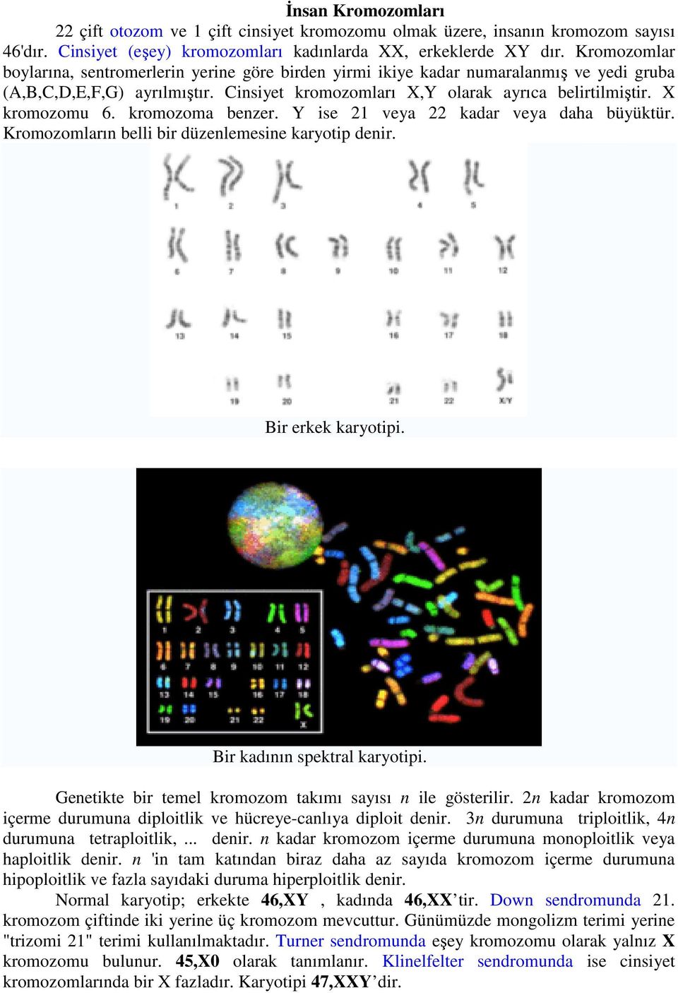 X kromozomu 6. kromozoma benzer. Y ise 21 veya 22 kadar veya daha büyüktür. Kromozomların belli bir düzenlemesine karyotip denir. Bir erkek karyotipi. Bir kadının spektral karyotipi.