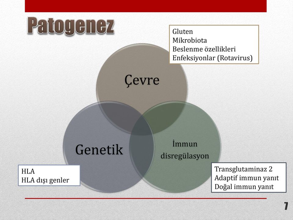 İmmun disregülasyon HLA HLA dışı genler