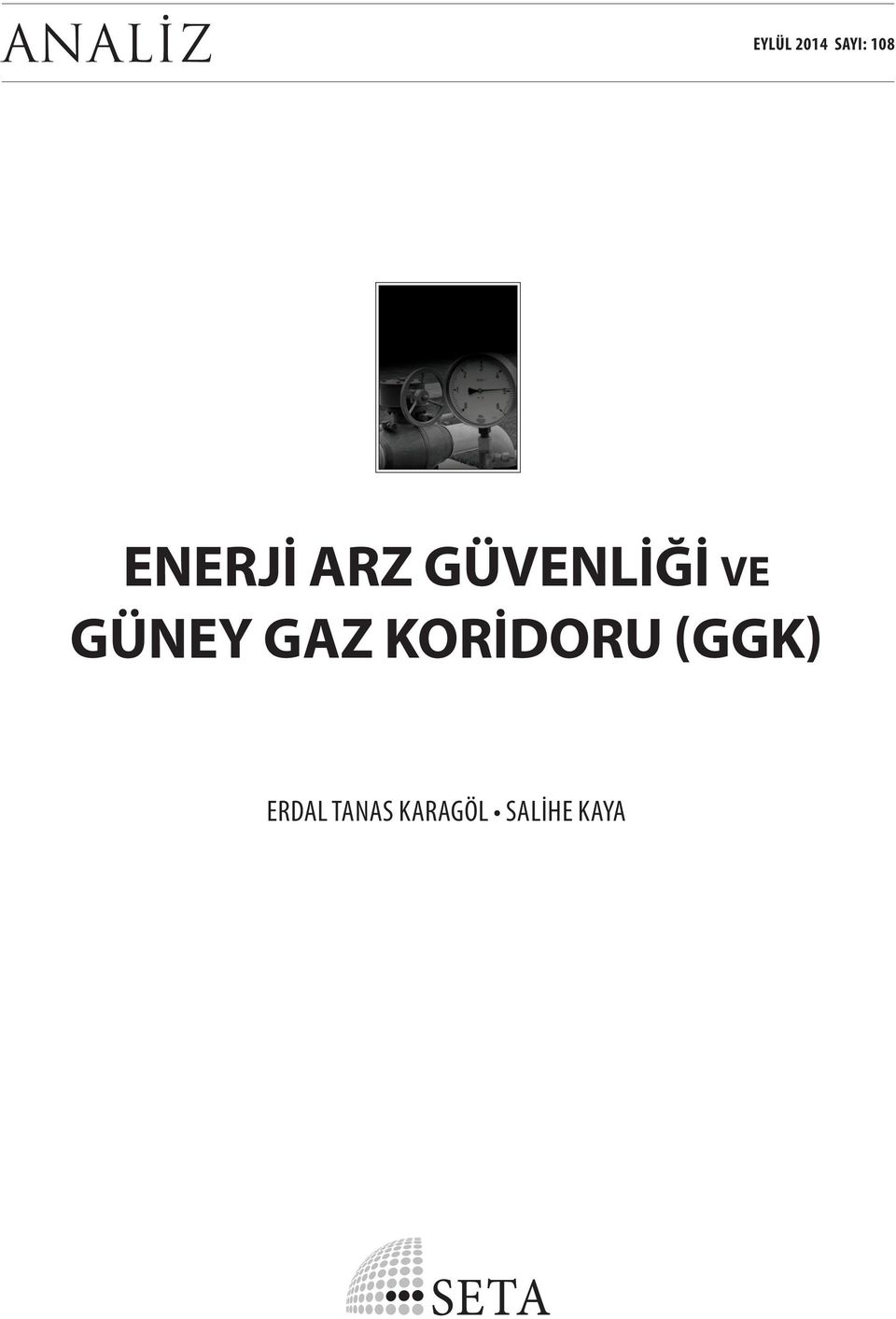 VE GÜNEY GAZ KORİDORU