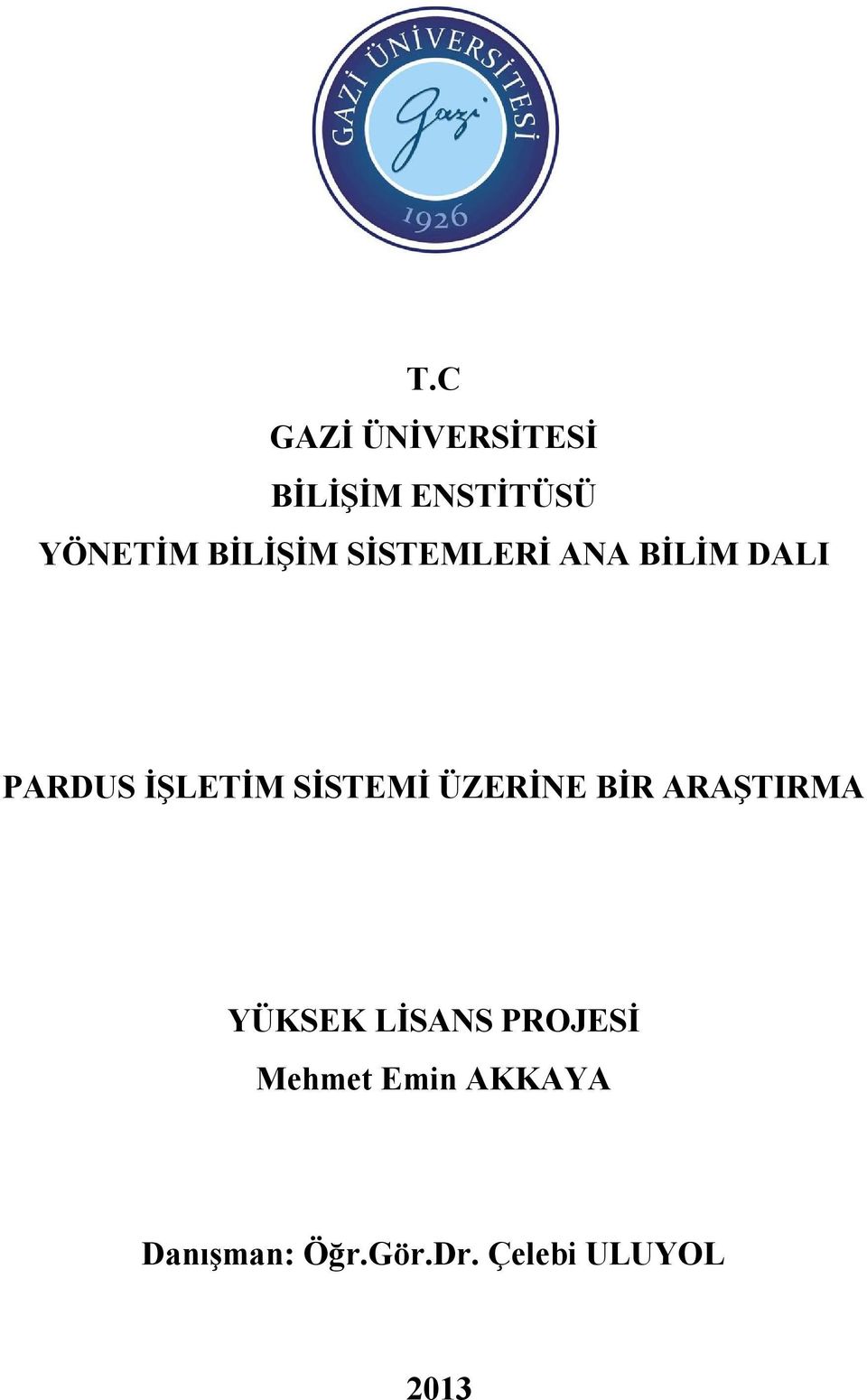 SİSTEMİ ÜZERİNE BİR ARAŞTIRMA YÜKSEK LİSANS PROJESİ