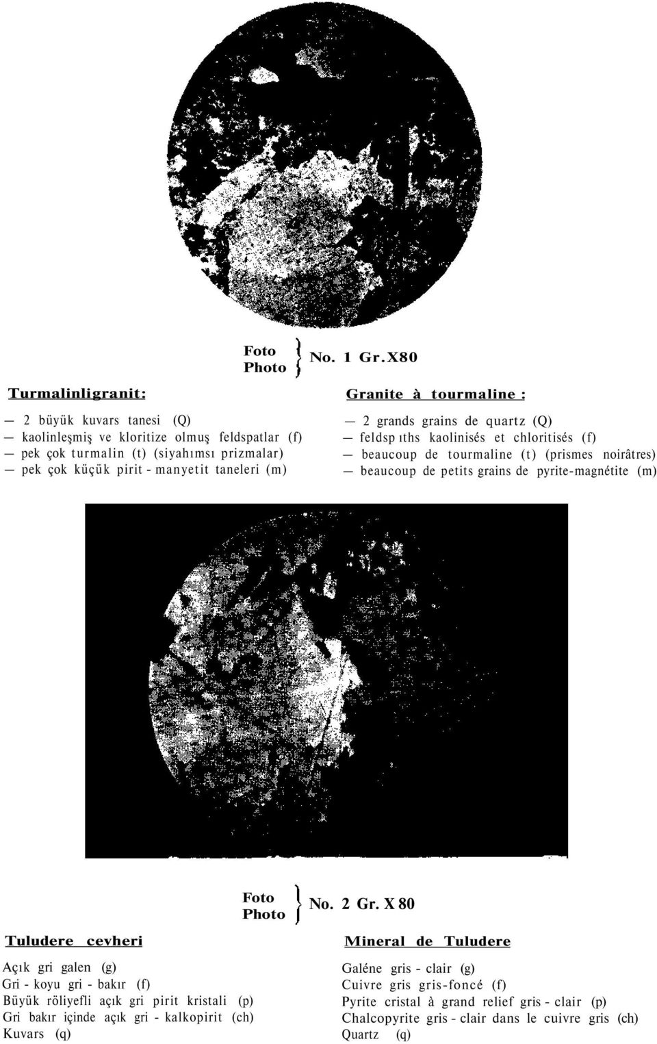 X80 Granite à tourmaline : 2 grands grains de quartz (Q) feldsp ıths kaolinisés et chloritisés (f) beaucoup de tourmaline (t) (prismes noirâtres) beaucoup de petits grains de