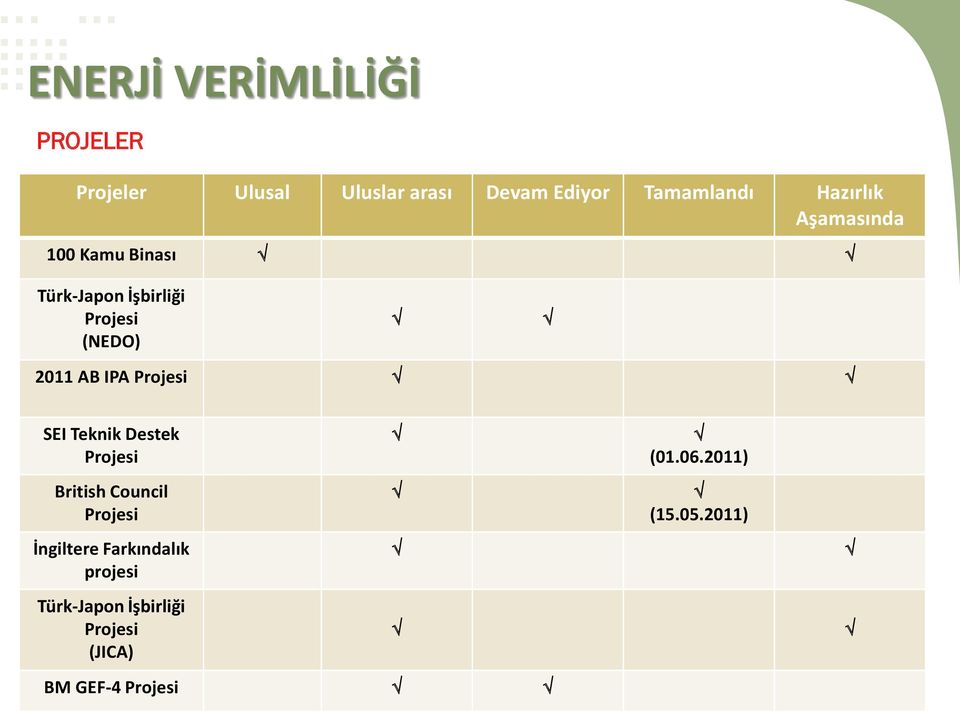 Projesi SEI Teknik Destek Projesi British Council Projesi İngiltere