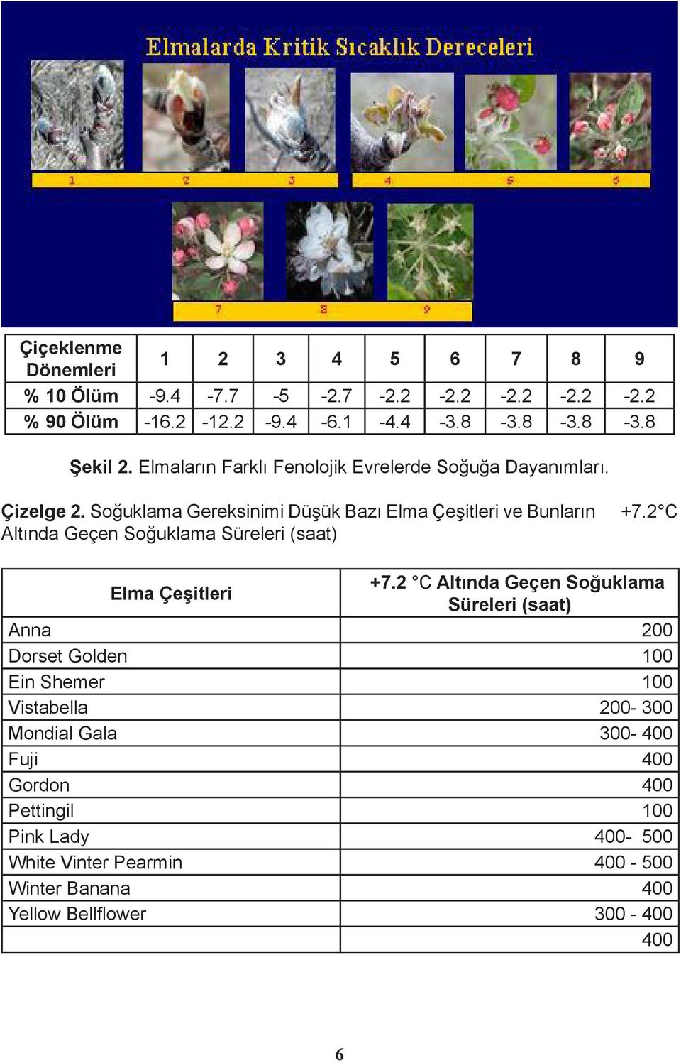 Soğuklama Gereksinimi Düşük Bazı Elma Çeşitleri ve Bunların Altında Geçen Soğuklama Süreleri (saat) +7.2 C Elma Çeşitleri +7.