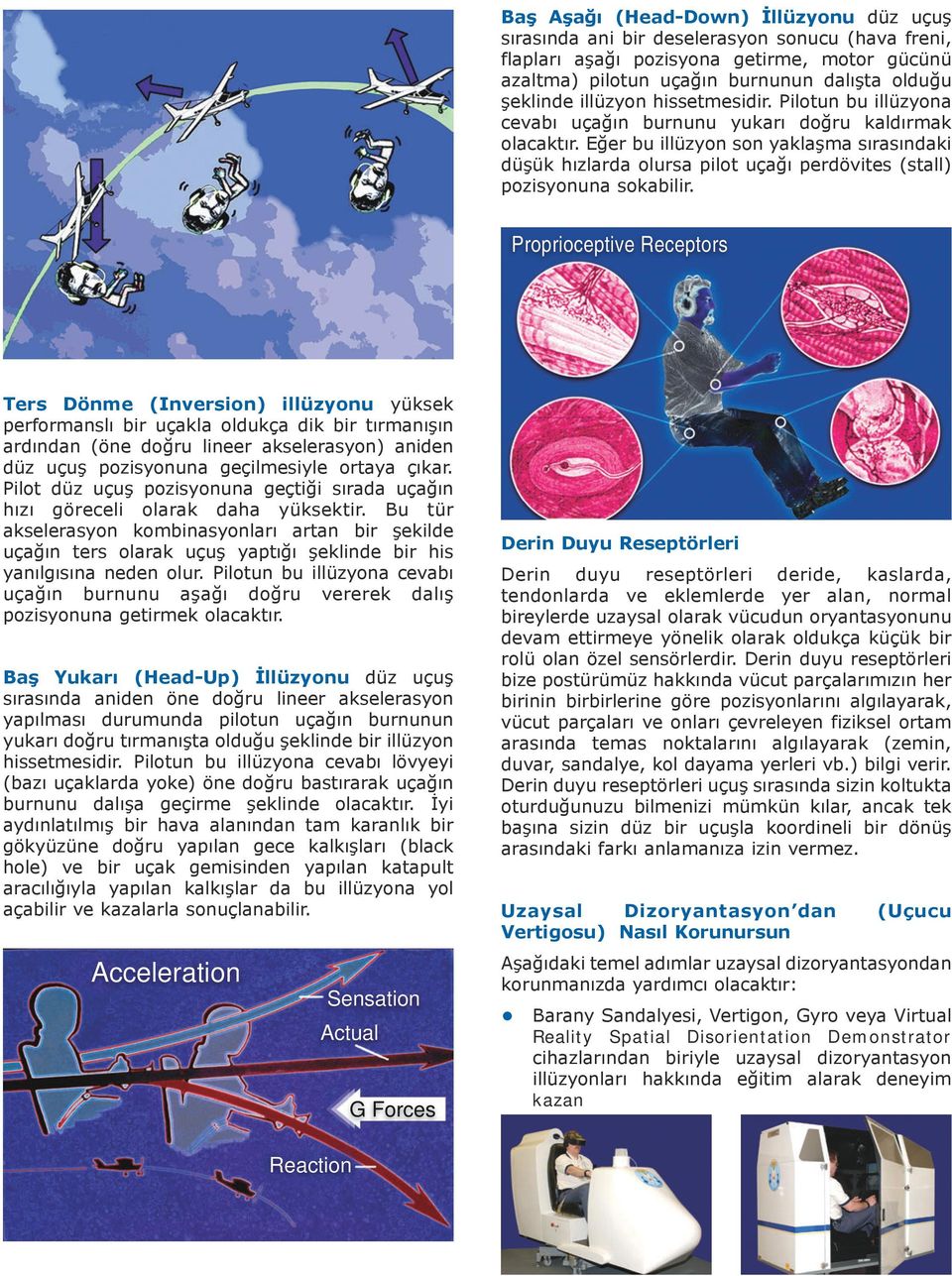 Eğer bu illüzyon son yaklaşma sırasındaki düşük hızlarda olursa pilot uçağı perdövites (stall) pozisyonuna sokabilir.