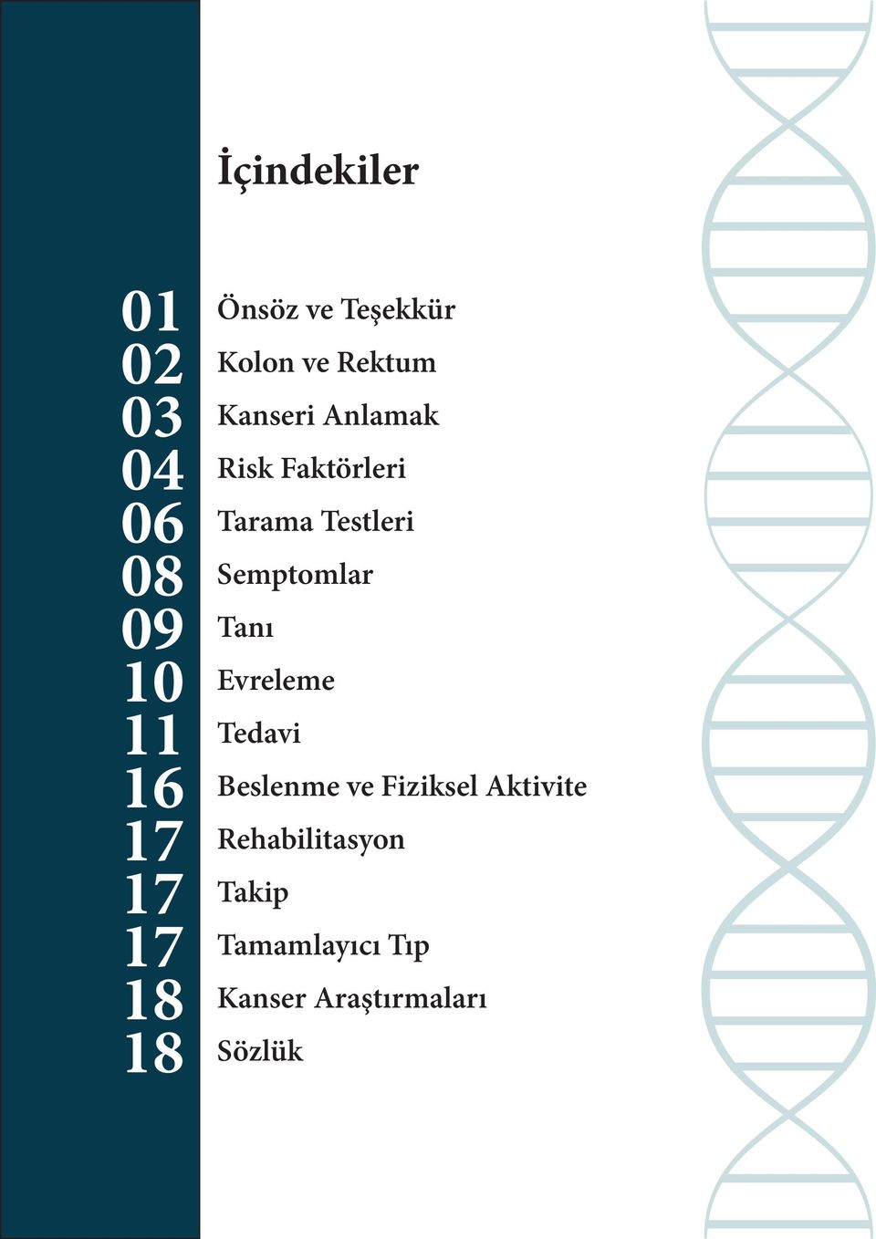 Testleri Semptomlar Tanı Evreleme Tedavi Beslenme ve Fiziksel