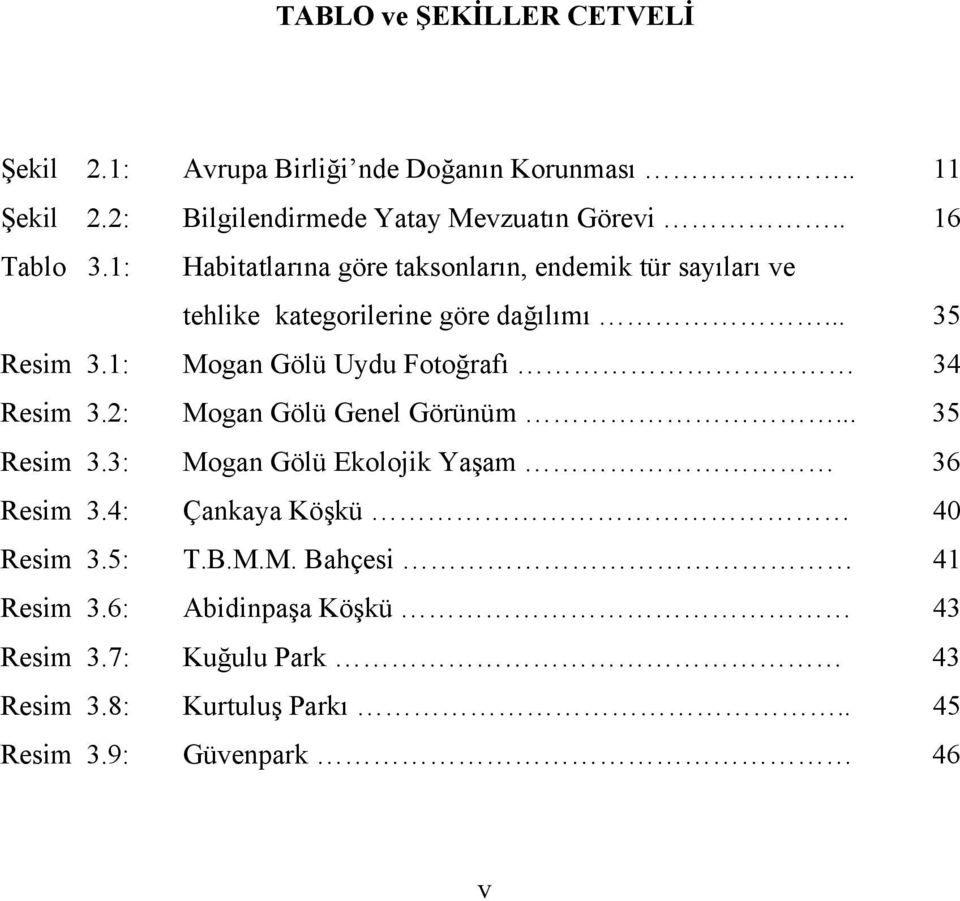 1: Mogan Gölü Uydu Fotoğrafı 34 Resim 3.2: Mogan Gölü Genel Görünüm... 35 Resim 3.3: Mogan Gölü Ekolojik Yaşam 36 Resim 3.